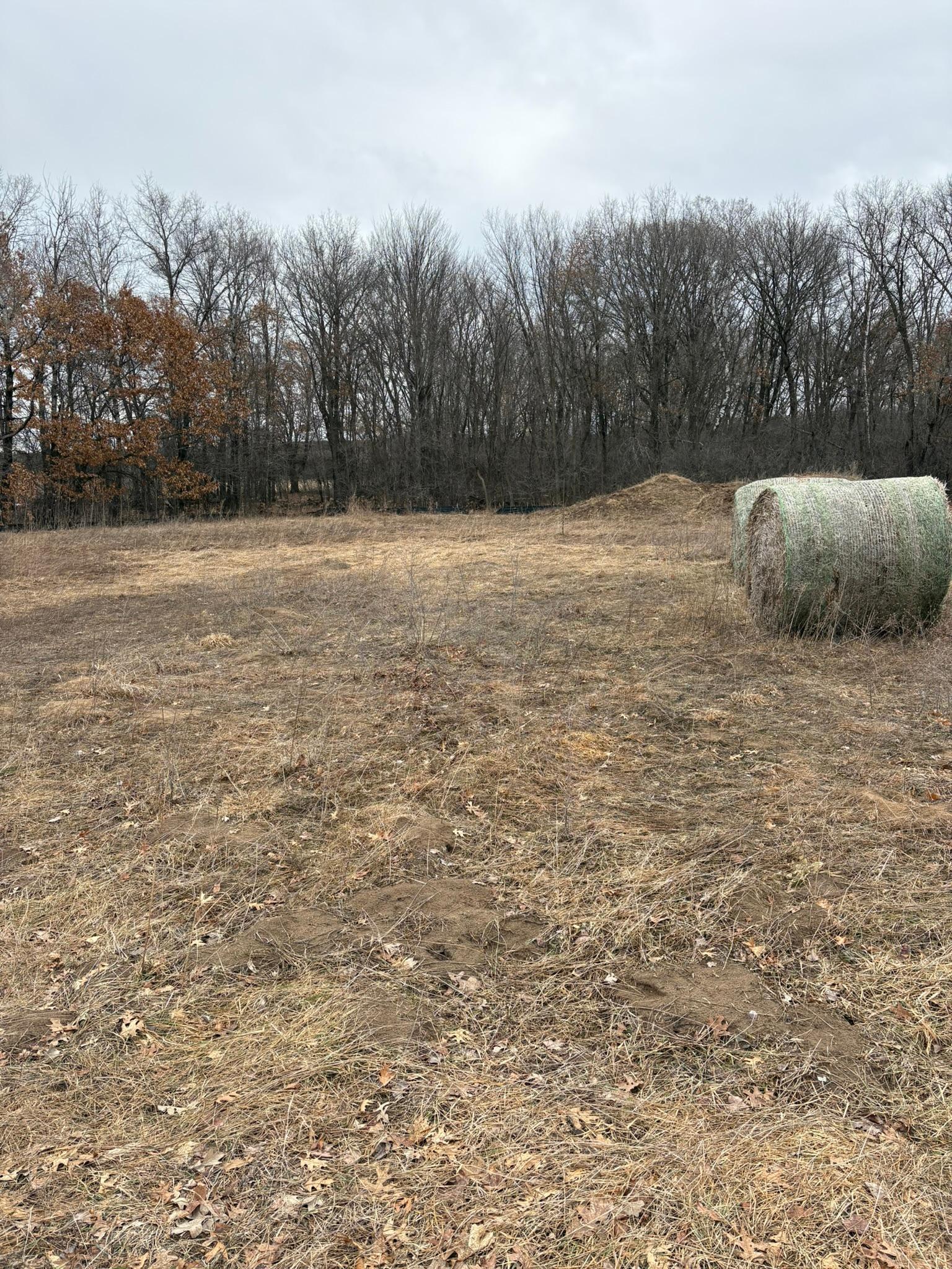 View of Land at 33005 Fenway Avenue, Stacy MN 55079, Stacy (2 of 2) - Mike Wilen | Minnesota Team Real Estate