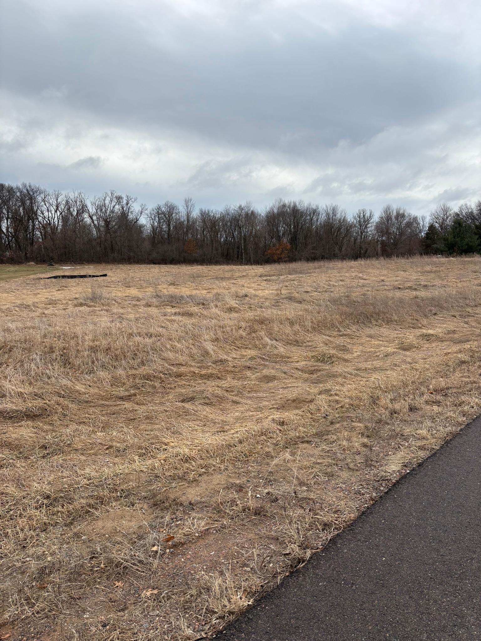 View of Land at 33070 Fenway Avenue, Stacy MN 55079, Stacy (2 of 2) - Mike Wilen | Minnesota Team Real Estate