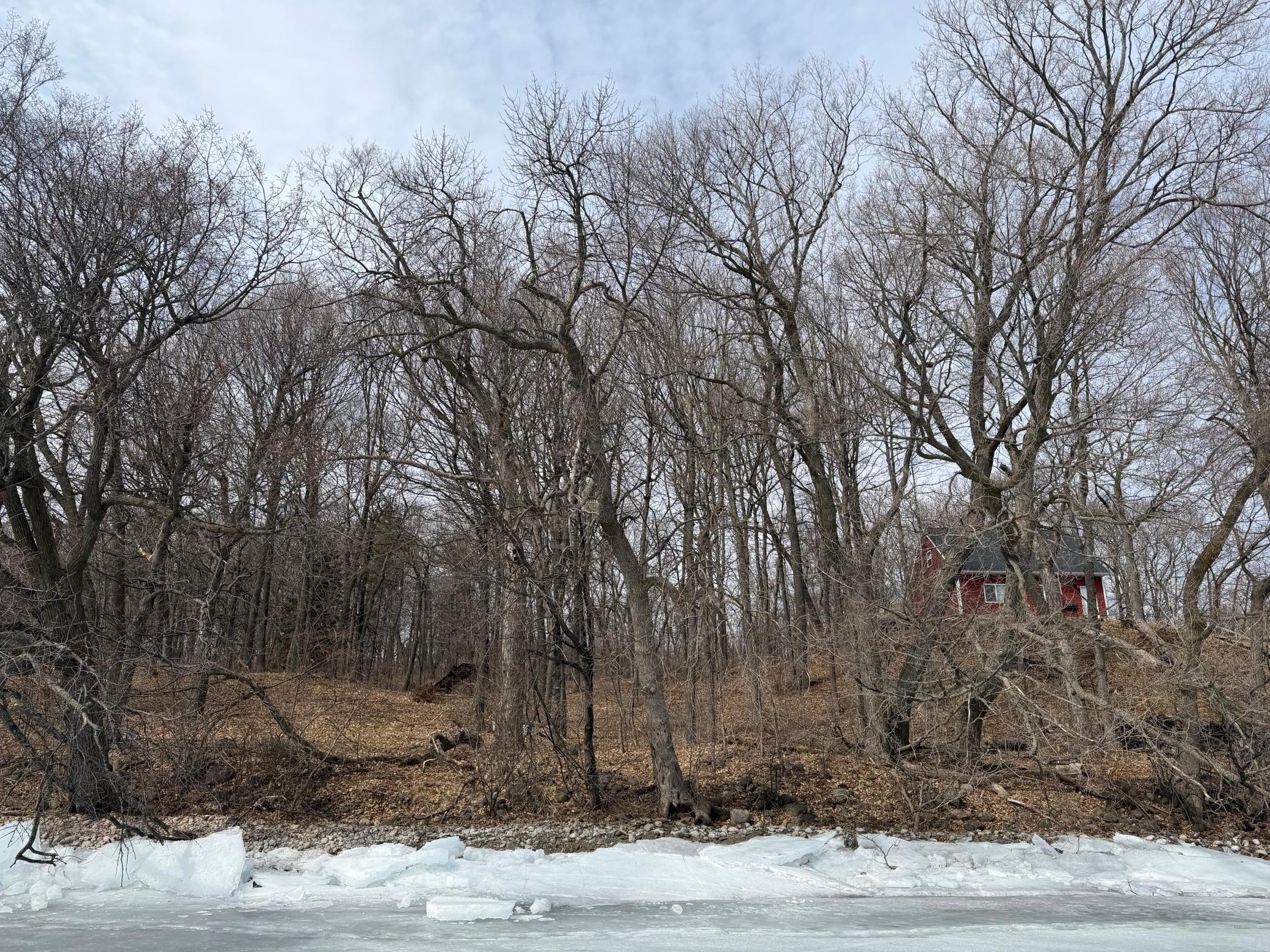 View of Land at Lot 37&38 Earle Brown Drive, Garrison MN 56450, Garrison (3 of 13) - Mike Wilen | Minnesota Team Real Estate