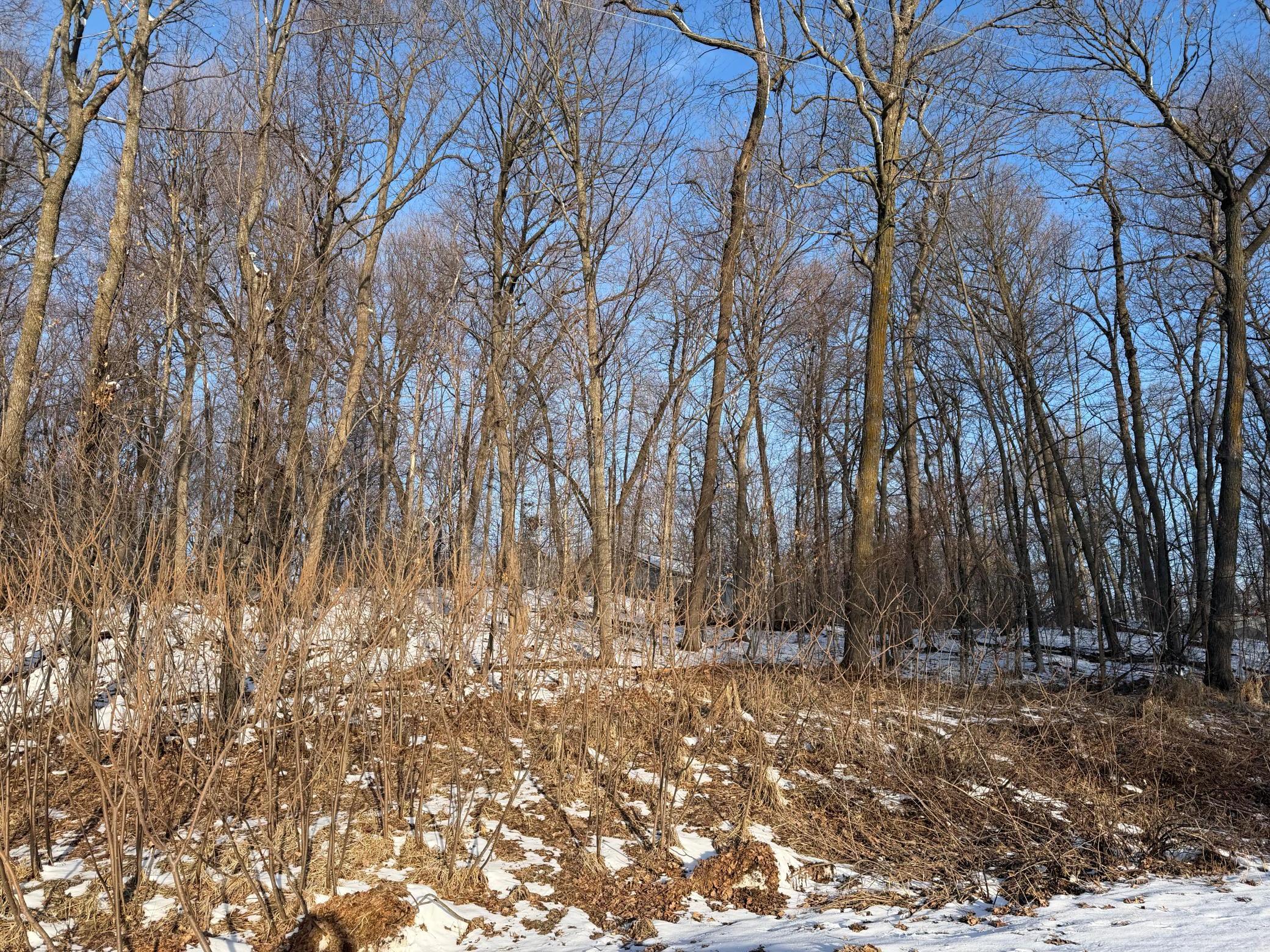 View of Land at Lots 120 & 121 Earle Brown Drive, Garrison MN 56450, Garrison (4 of 16) - Mike Wilen | Minnesota Team Real Estate