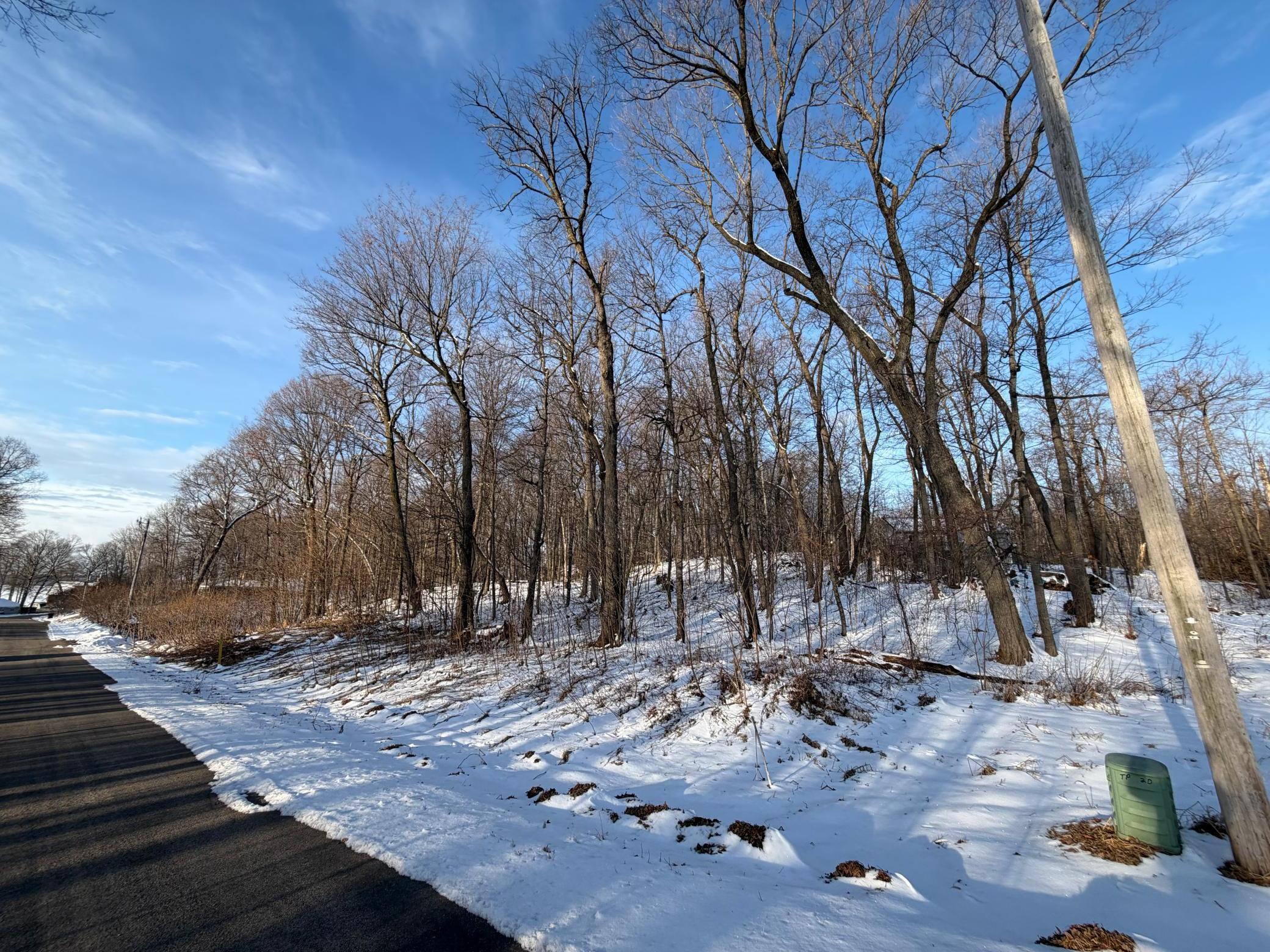 View of Land at Lots 120 & 121 Earle Brown Drive, Garrison MN 56450, Garrison (2 of 16) - Mike Wilen | Minnesota Team Real Estate