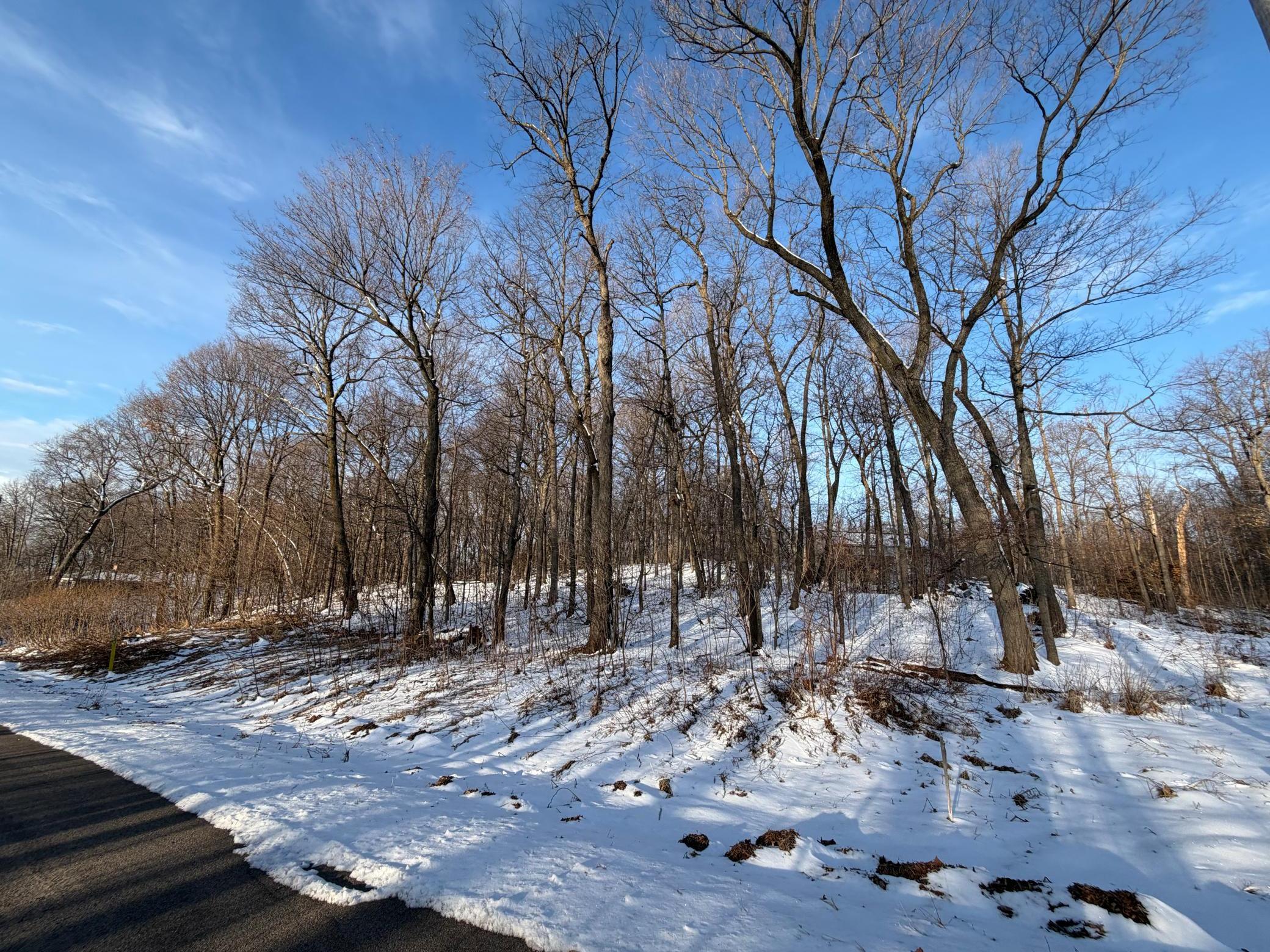 View of Land at Lots 120 & 121 Earle Brown Drive, Garrison MN 56450, Garrison (3 of 16) - Mike Wilen | Minnesota Team Real Estate