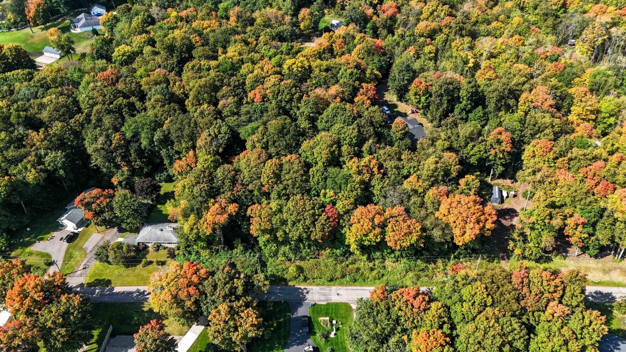 View of Land at Lots 119 Earle Brown Drive, Garrison MN 56450, Garrison (7 of 11) - Mike Wilen | Minnesota Team Real Estate