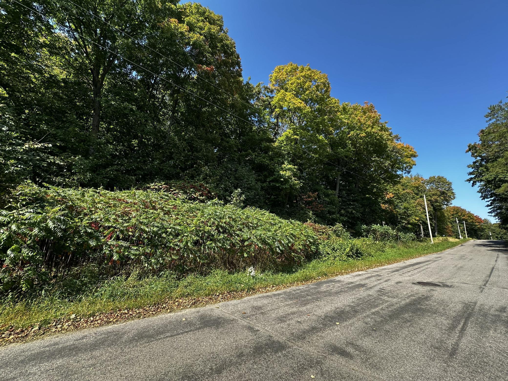 View of Land at Lots 119 Earle Brown Drive, Garrison MN 56450, Garrison (3 of 11) - Mike Wilen | Minnesota Team Real Estate