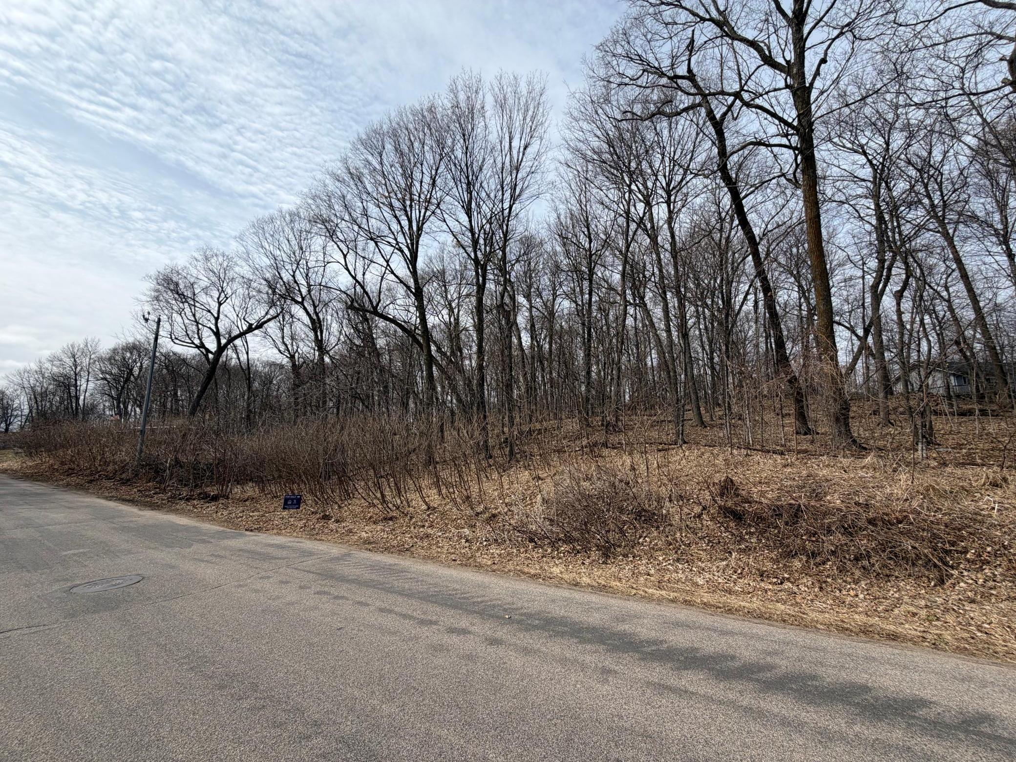 View of Land at Lots 119 Earle Brown Drive, Garrison MN 56450, Garrison (2 of 11) - Mike Wilen | Minnesota Team Real Estate