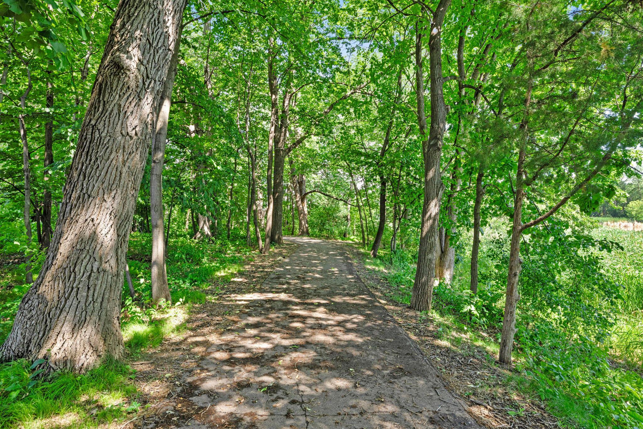 View of Residential at 12569 74th Avenue, Maple Grove MN 55369, Maple Grove (49 of 57) - Mike Wilen | Minnesota Team Real Estate
