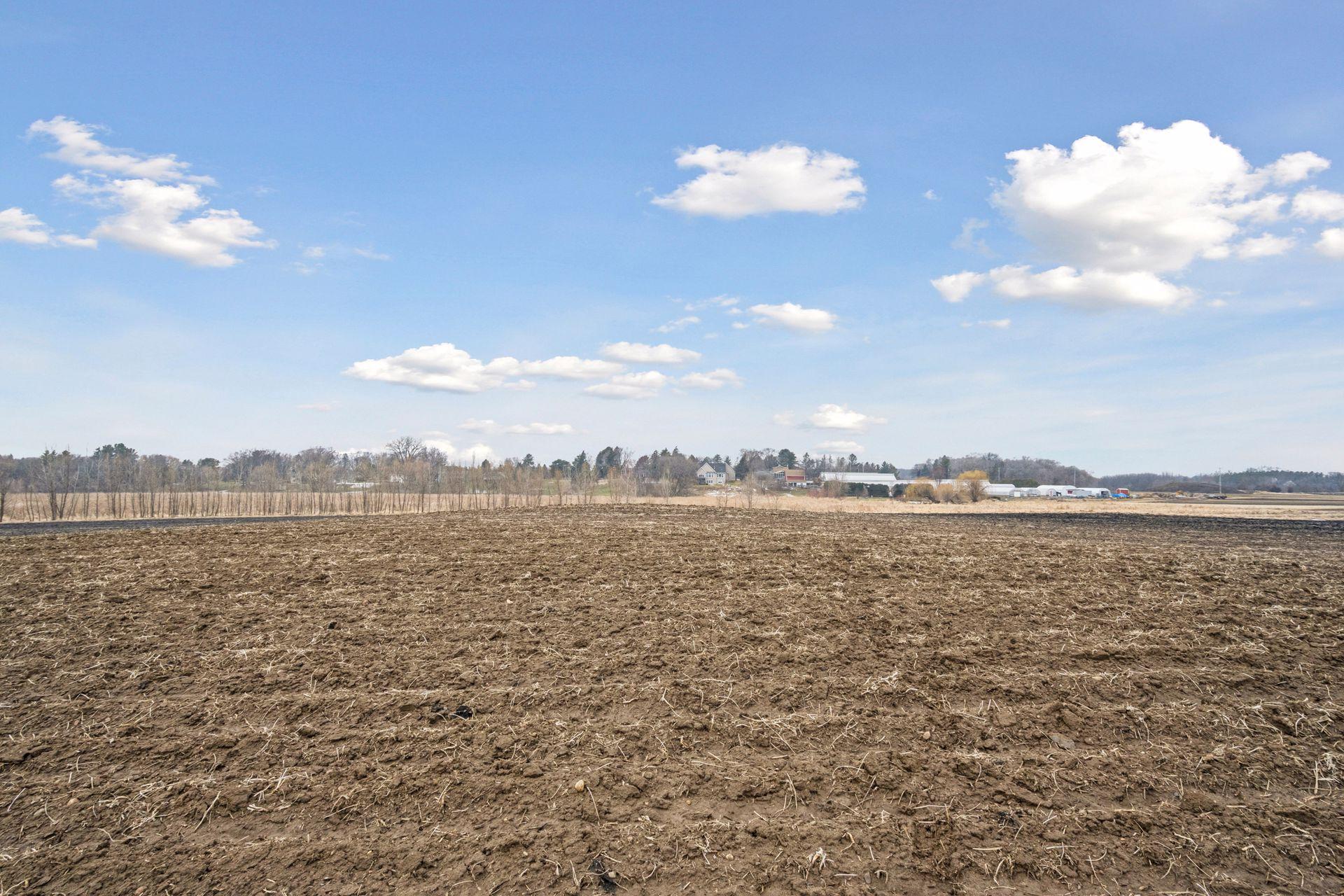 View of Land at 23x Medina Road, Medina MN 55340, Medina (11 of 21) - Mike Wilen | Minnesota Team Real Estate