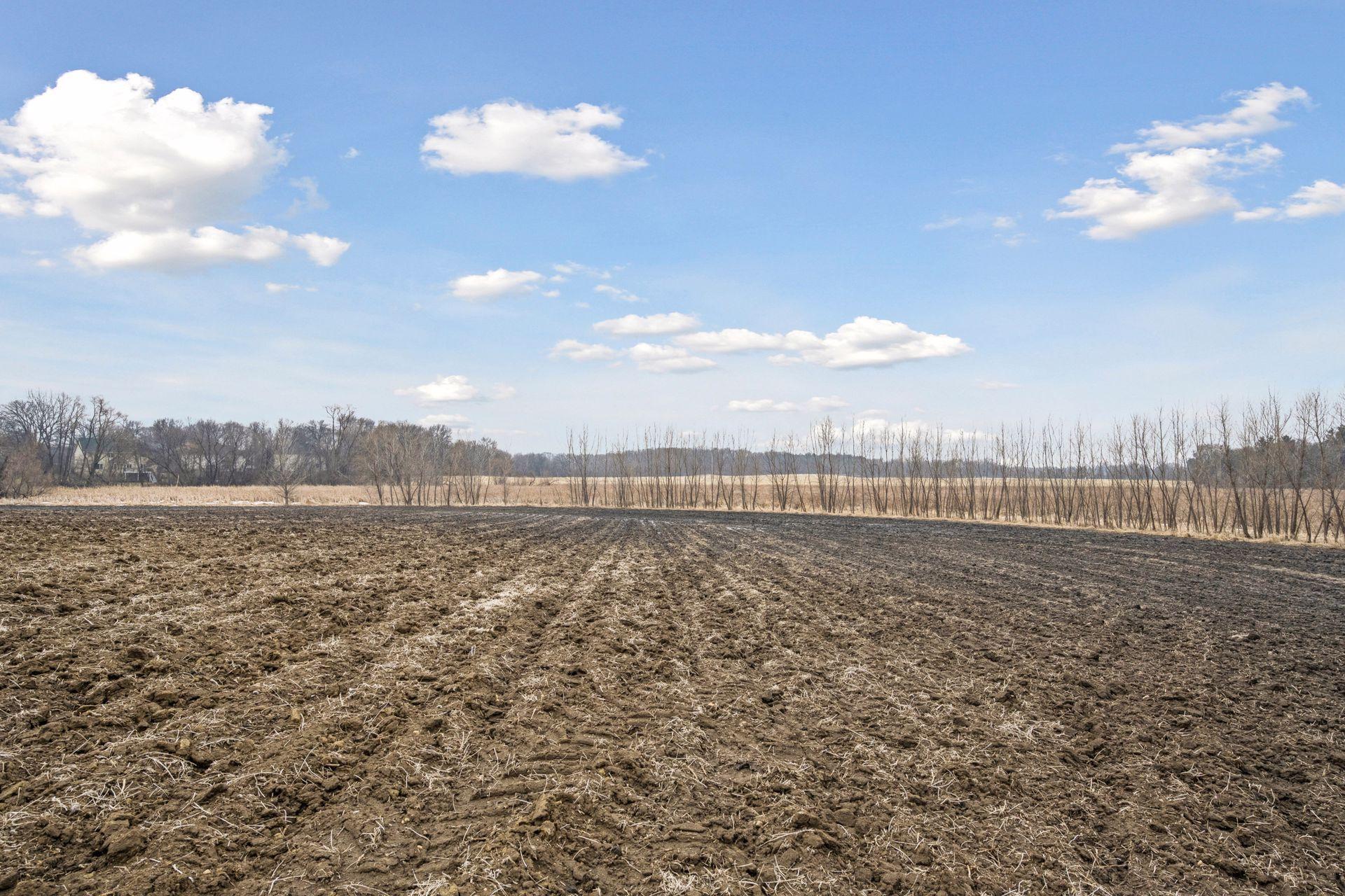 View of Land at 23x Medina Road, Medina MN 55340, Medina (10 of 21) - Mike Wilen | Minnesota Team Real Estate