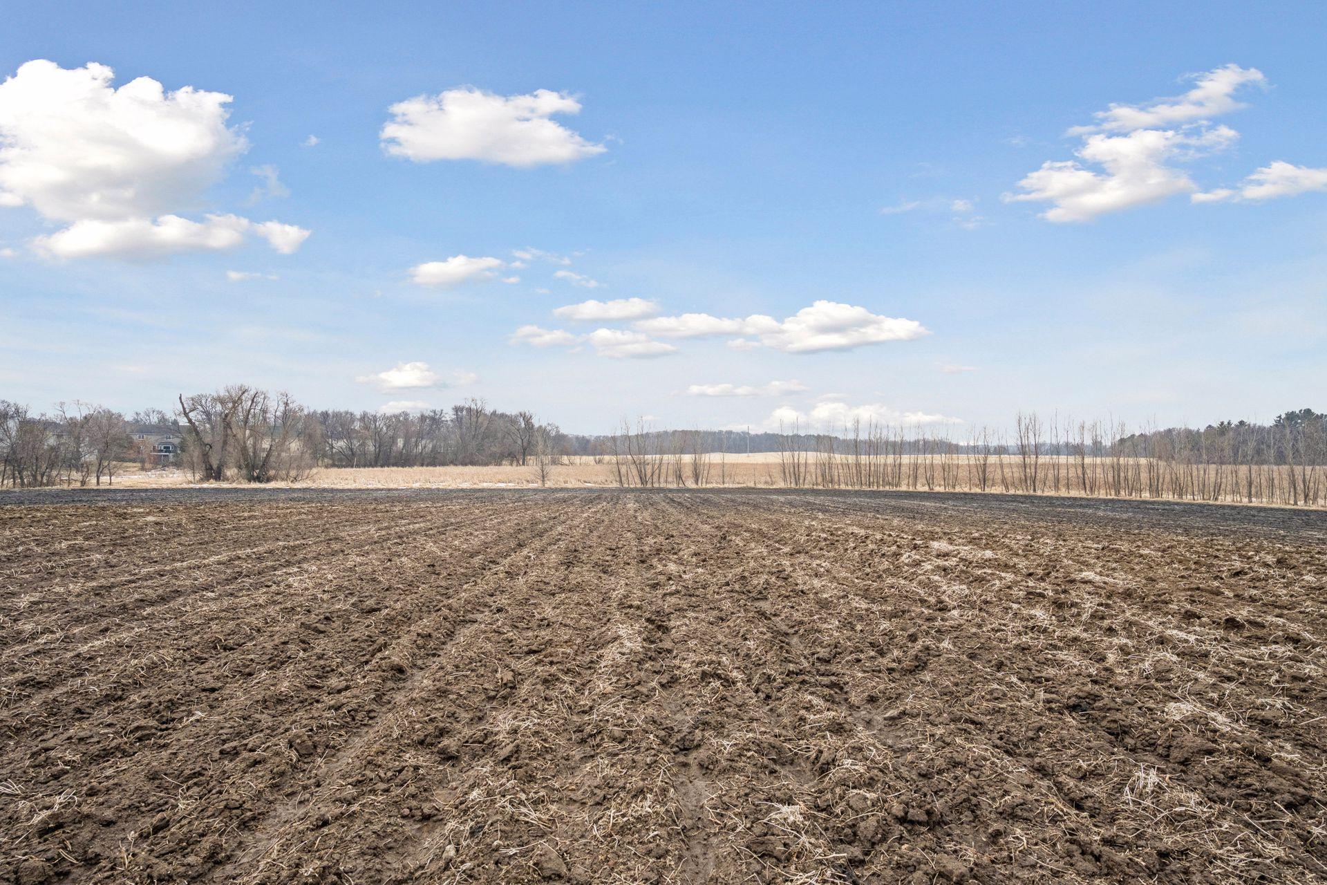 View of Land at 23x Medina Road, Medina MN 55340, Medina (9 of 21) - Mike Wilen | Minnesota Team Real Estate
