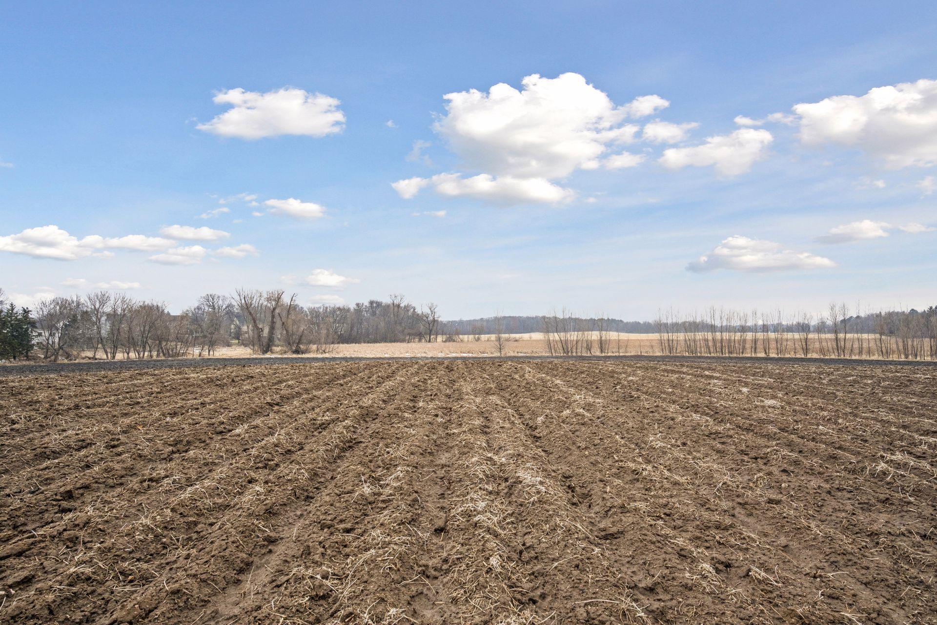 View of Land at 23x Medina Road, Medina MN 55340, Medina (8 of 21) - Mike Wilen | Minnesota Team Real Estate