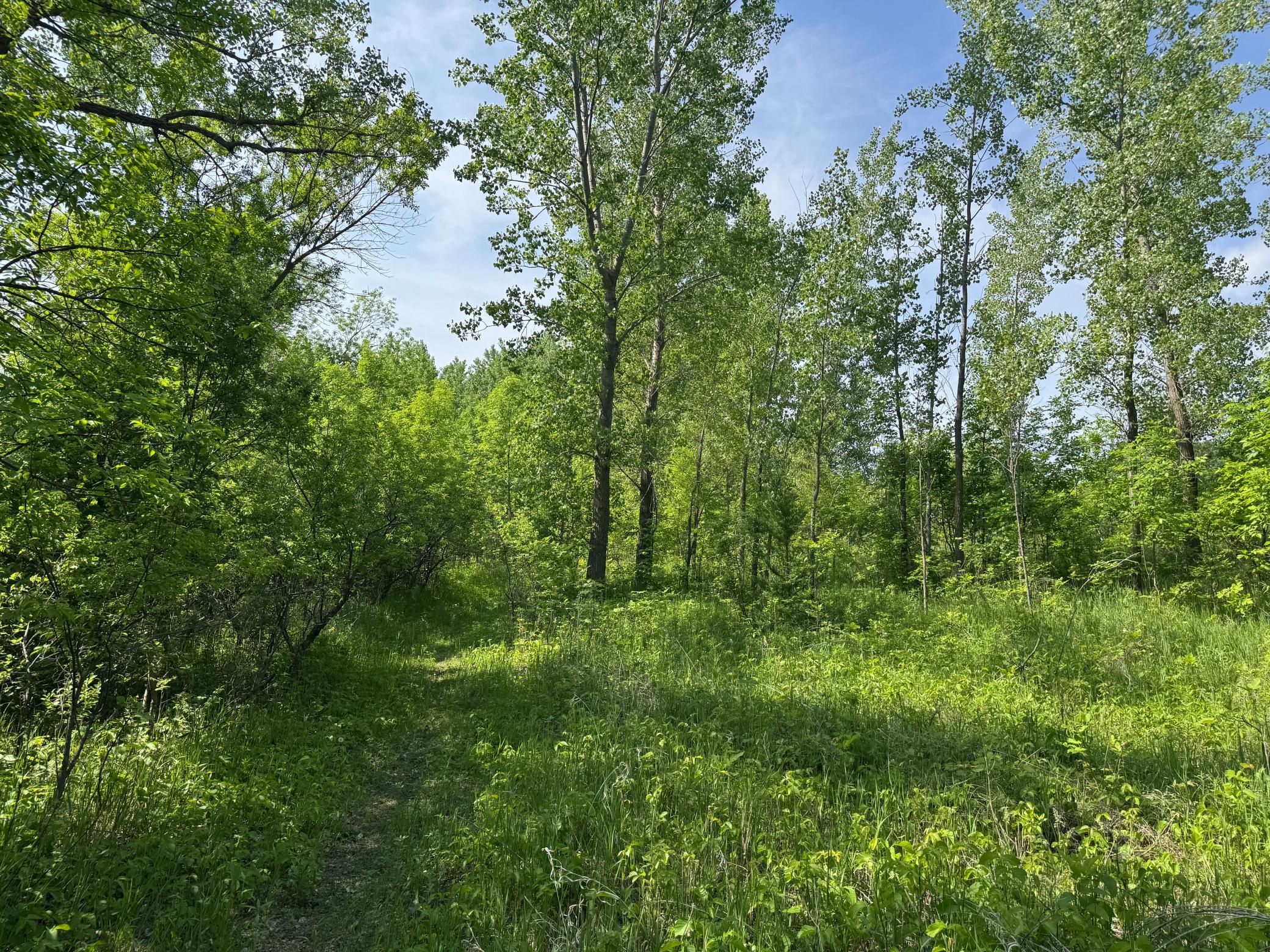 View of Land at TBD Otter Street, Hutchinson MN 55350, Hutchinson (14 of 25) - Mike Wilen | Minnesota Team Real Estate