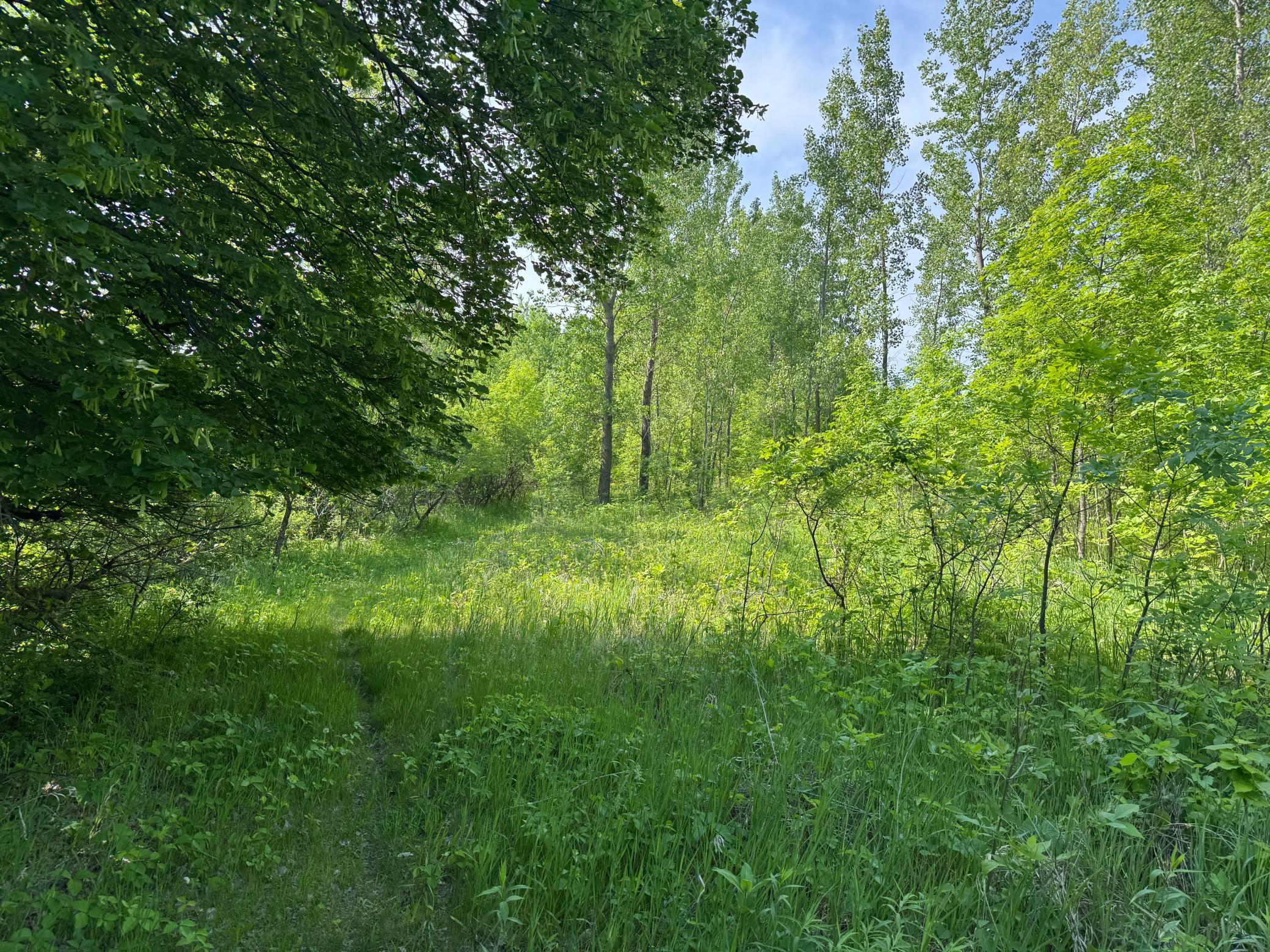 View of Land at TBD Otter Street, Hutchinson MN 55350, Hutchinson (13 of 25) - Mike Wilen | Minnesota Team Real Estate