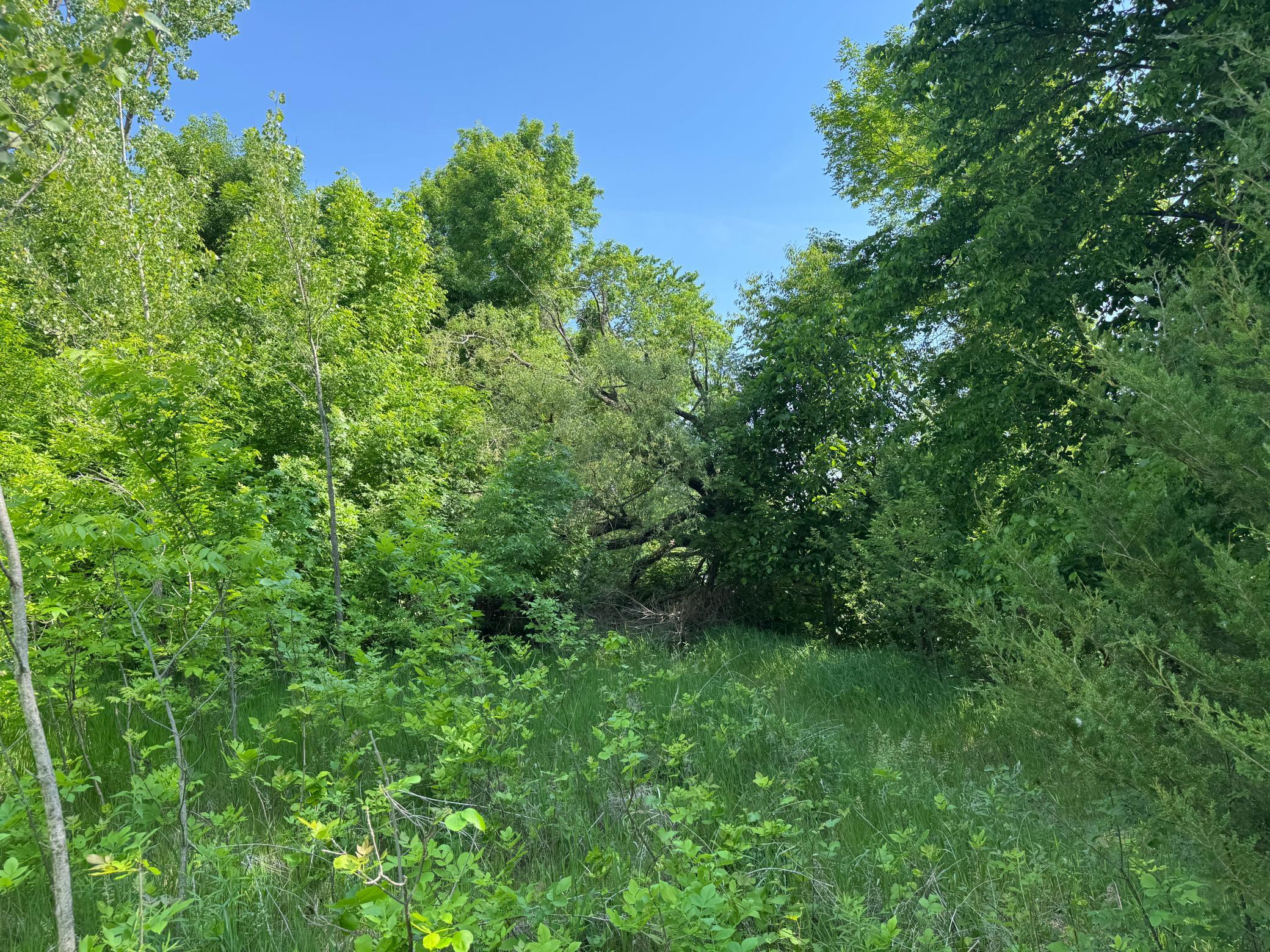 View of Land at TBD Otter Street, Hutchinson MN 55350, Hutchinson (12 of 25) - Mike Wilen | Minnesota Team Real Estate