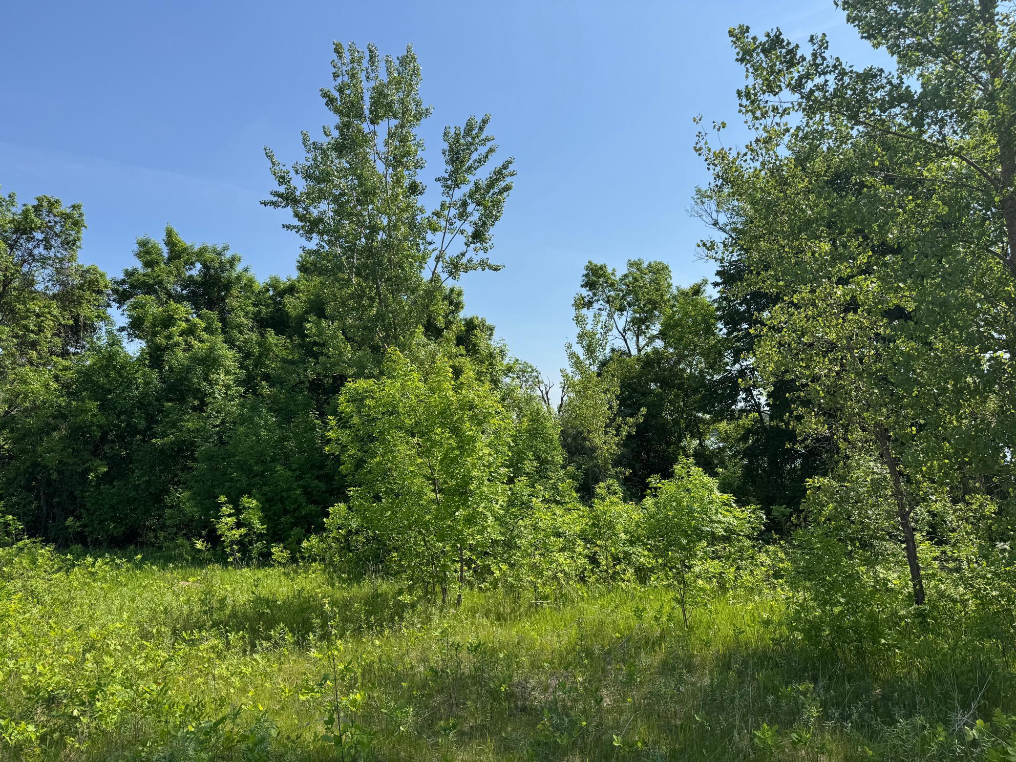 View of Land at TBD Otter Street, Hutchinson MN 55350, Hutchinson (11 of 25) - Mike Wilen | Minnesota Team Real Estate