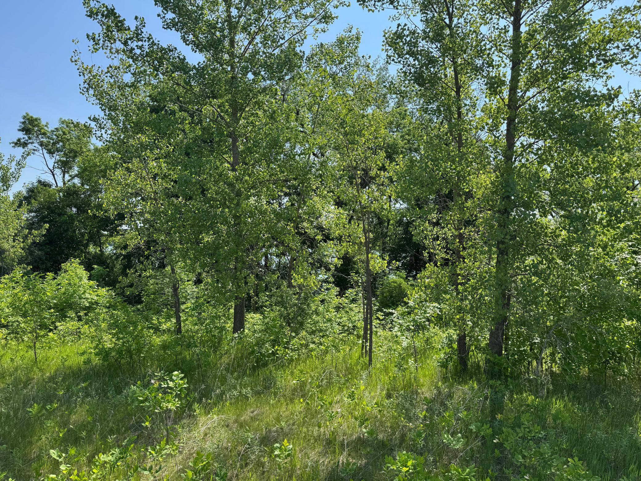 View of Land at TBD Otter Street, Hutchinson MN 55350, Hutchinson (10 of 25) - Mike Wilen | Minnesota Team Real Estate