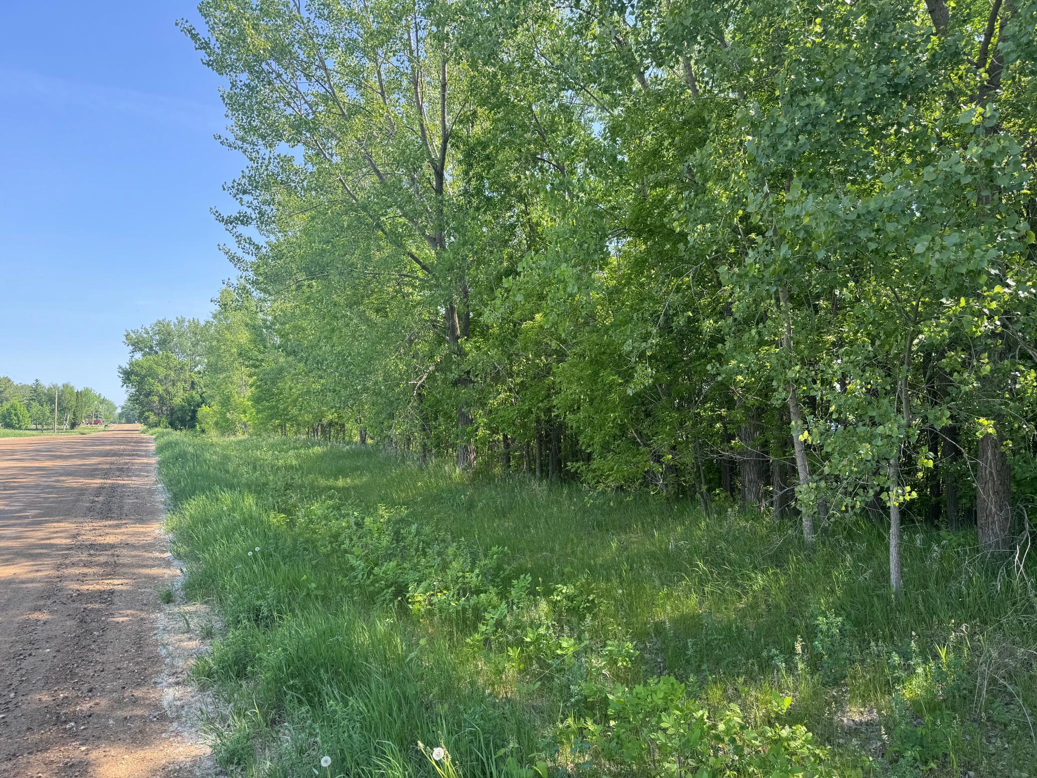 View of Land at TBD Otter Street, Hutchinson MN 55350, Hutchinson (6 of 25) - Mike Wilen | Minnesota Team Real Estate