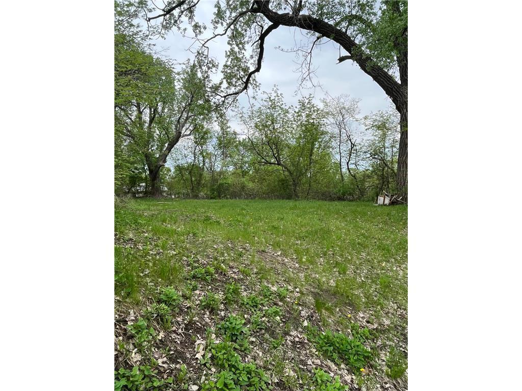 View of Land at 137 Sims Avenue, Saint Paul - Mike Wilen | Minnesota Team Real Estate