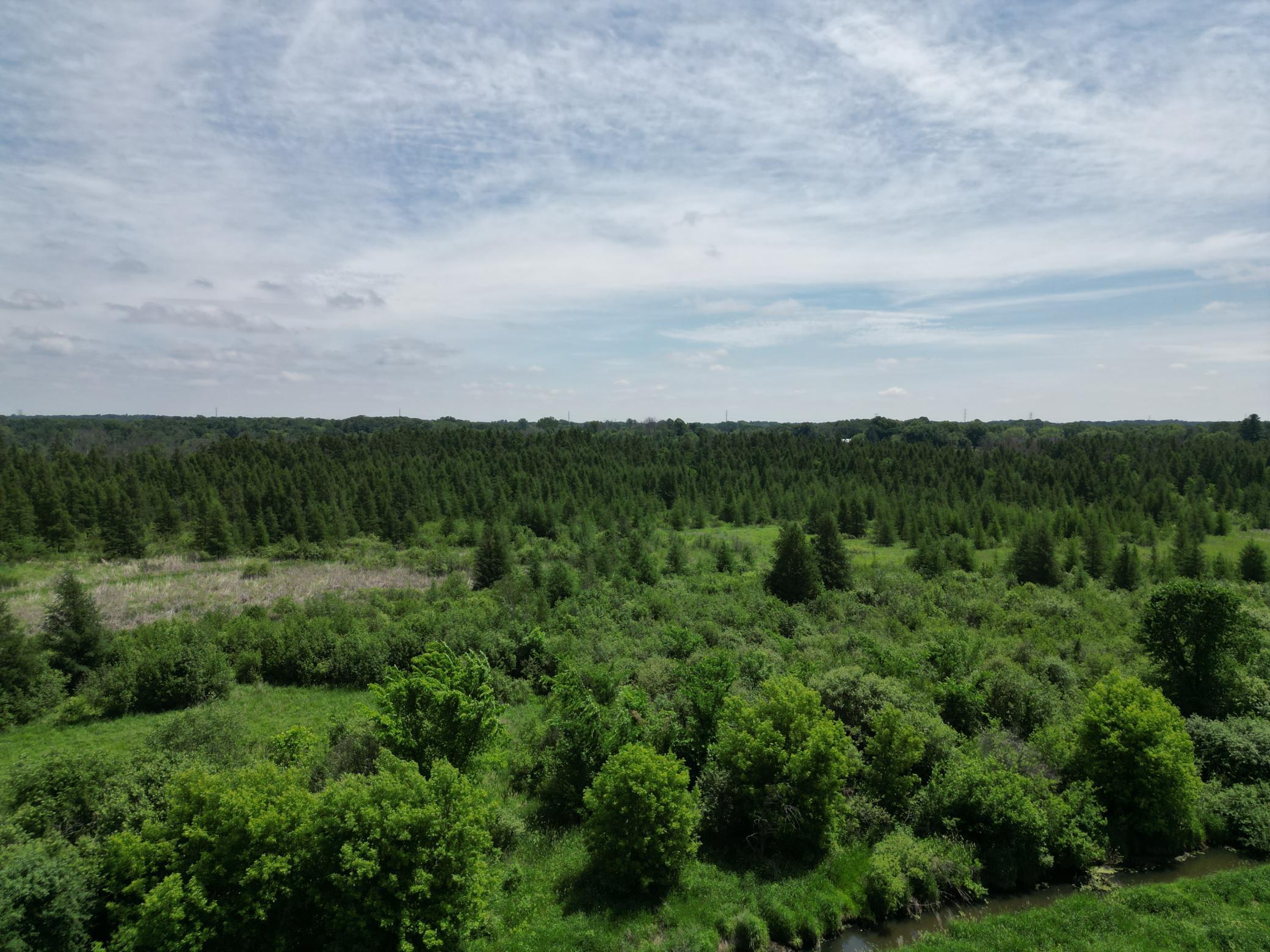 View of Residential at 18335 Imperial Avenue, Forest Lake MN 55025, Forest Lake (26 of 30) - Mike Wilen | Minnesota Team Real Estate