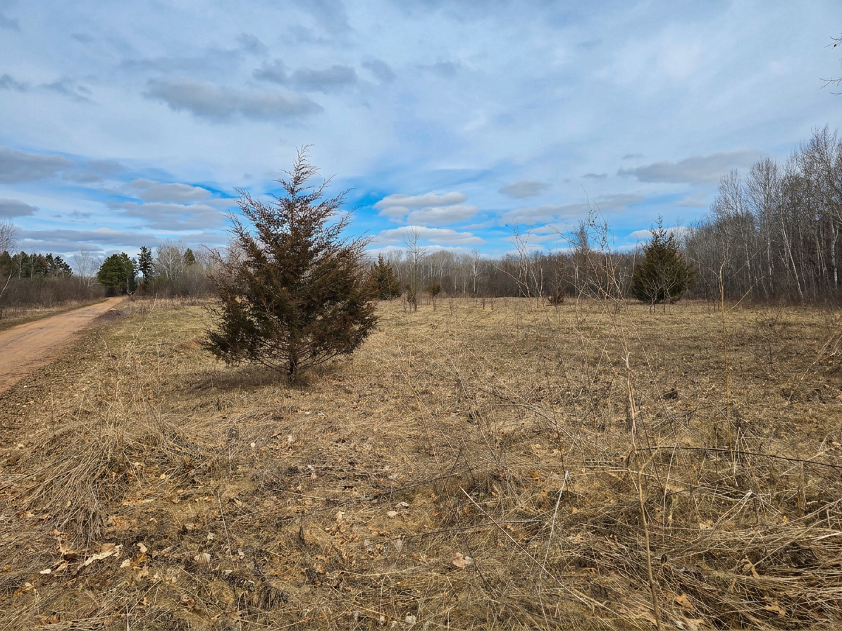 View of Commercial Sale at 39529 Trulson Road, North Branch MN 55056, North Branch (59 of 60) - Mike Wilen | Minnesota Team Real Estate
