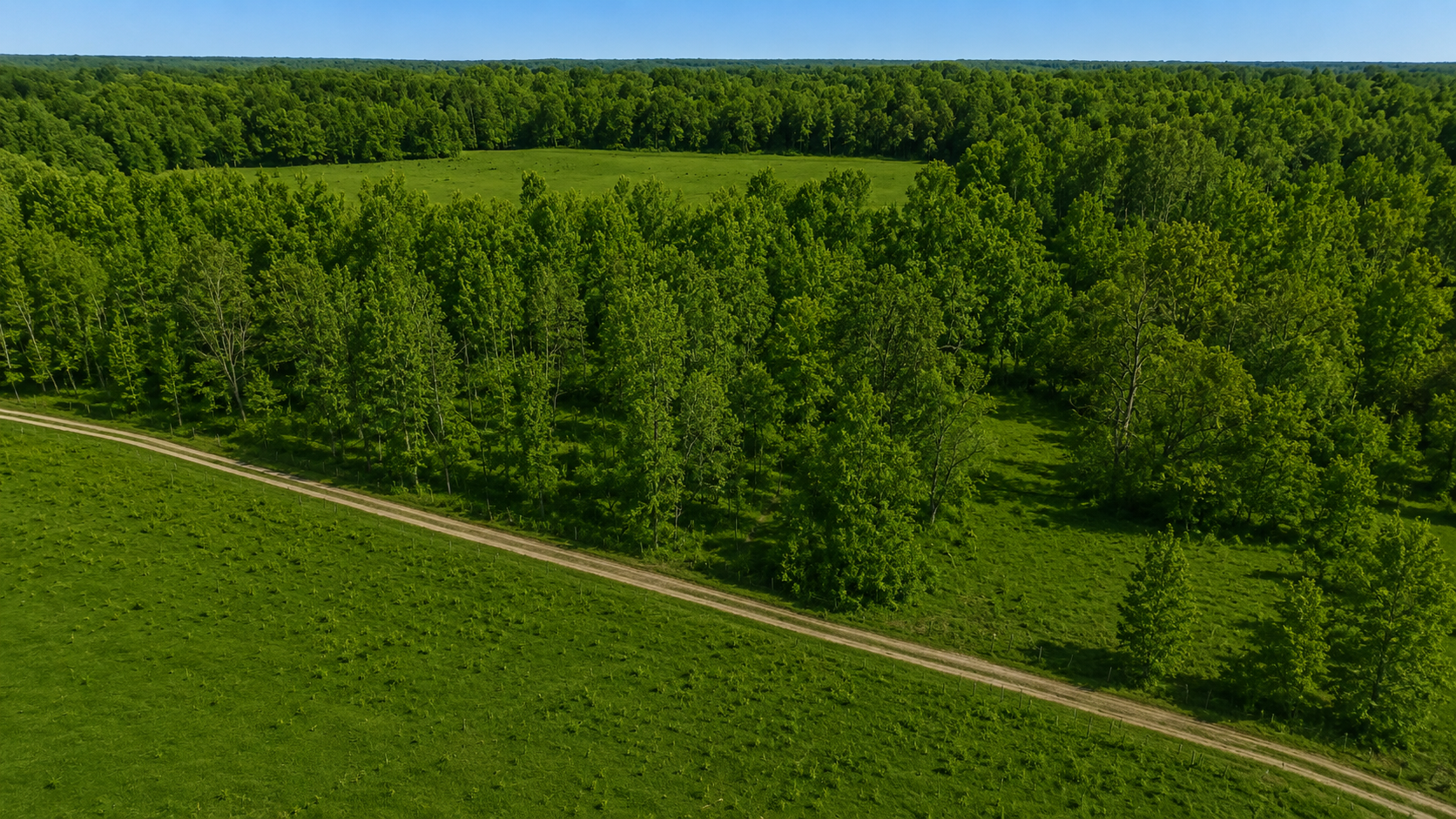 View of Residential at 3231 Highway 65, Mora MN 55051, Mora (14 of 75) - Mike Wilen | Minnesota Team Real Estate