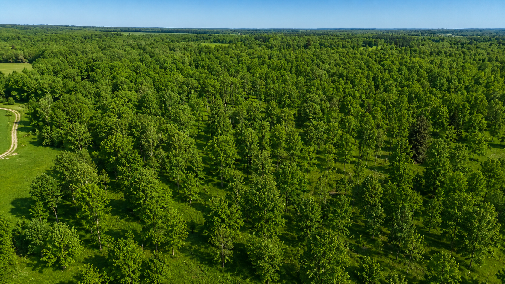 View of Residential at 3231 Highway 65, Mora MN 55051, Mora (21 of 75) - Mike Wilen | Minnesota Team Real Estate