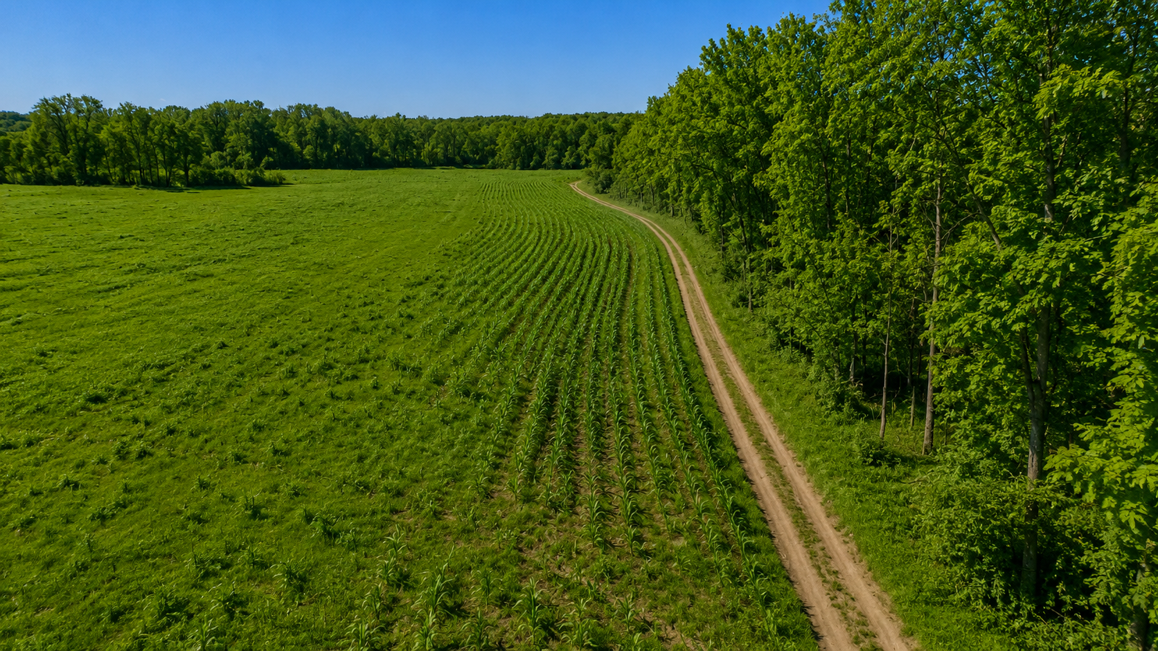 View of Residential at 3231 Highway 65, Mora MN 55051, Mora (18 of 75) - Mike Wilen | Minnesota Team Real Estate