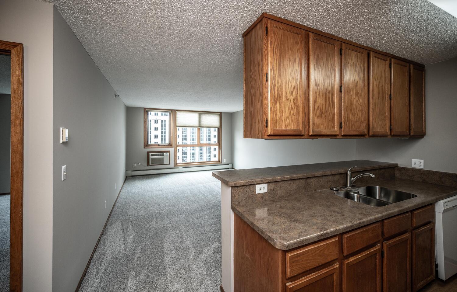 View of Residential at 433 7th Street #1819, Minneapolis MN 55415, Minneapolis - Mike Wilen | Minnesota Team Real Estate