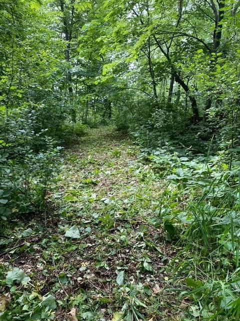 View of Land at 20011 Nevada Avenue, Prior Lake MN 55372, Prior Lake - Mike Wilen | Minnesota Team Real Estate