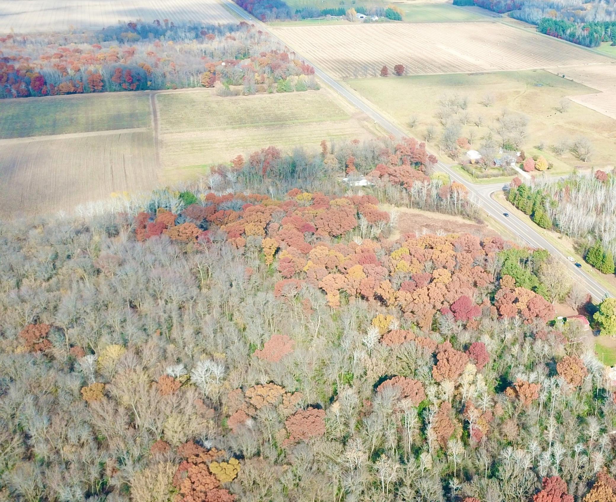 View of Land at TBDx 165th Avenue, Santiago Twp MN 55319, Santiago Twp - Mike Wilen | Minnesota Team Real Estate