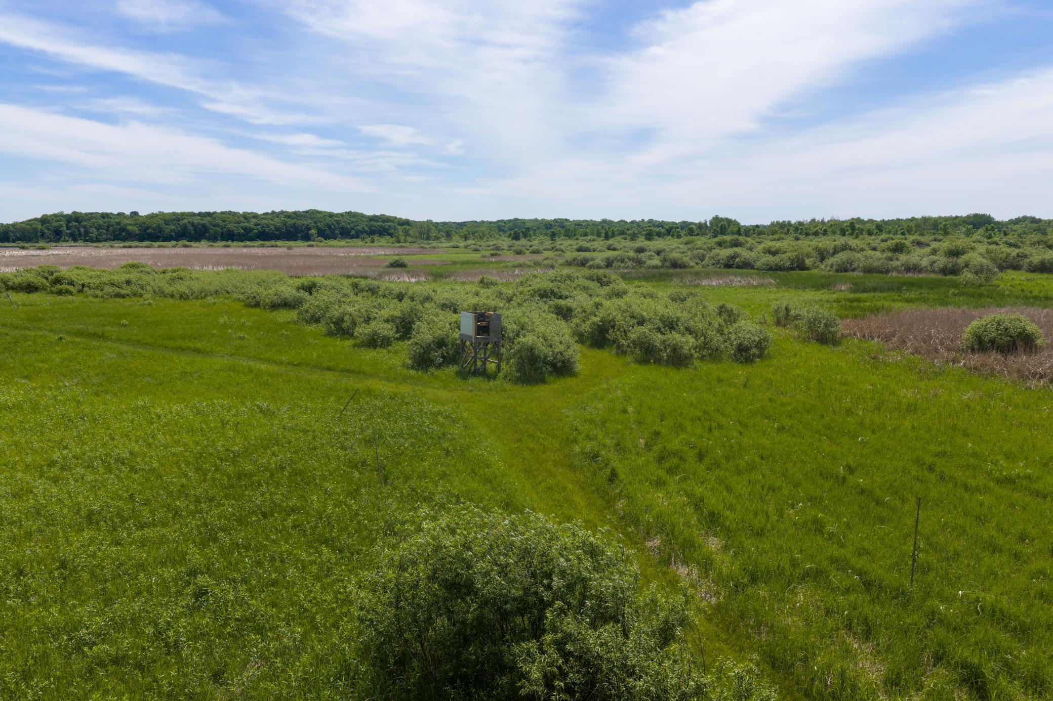 View of Residential at 17168 263rd Avenue, Paynesville MN 56362, Paynesville (36 of 41) - Mike Wilen | Minnesota Team Real Estate