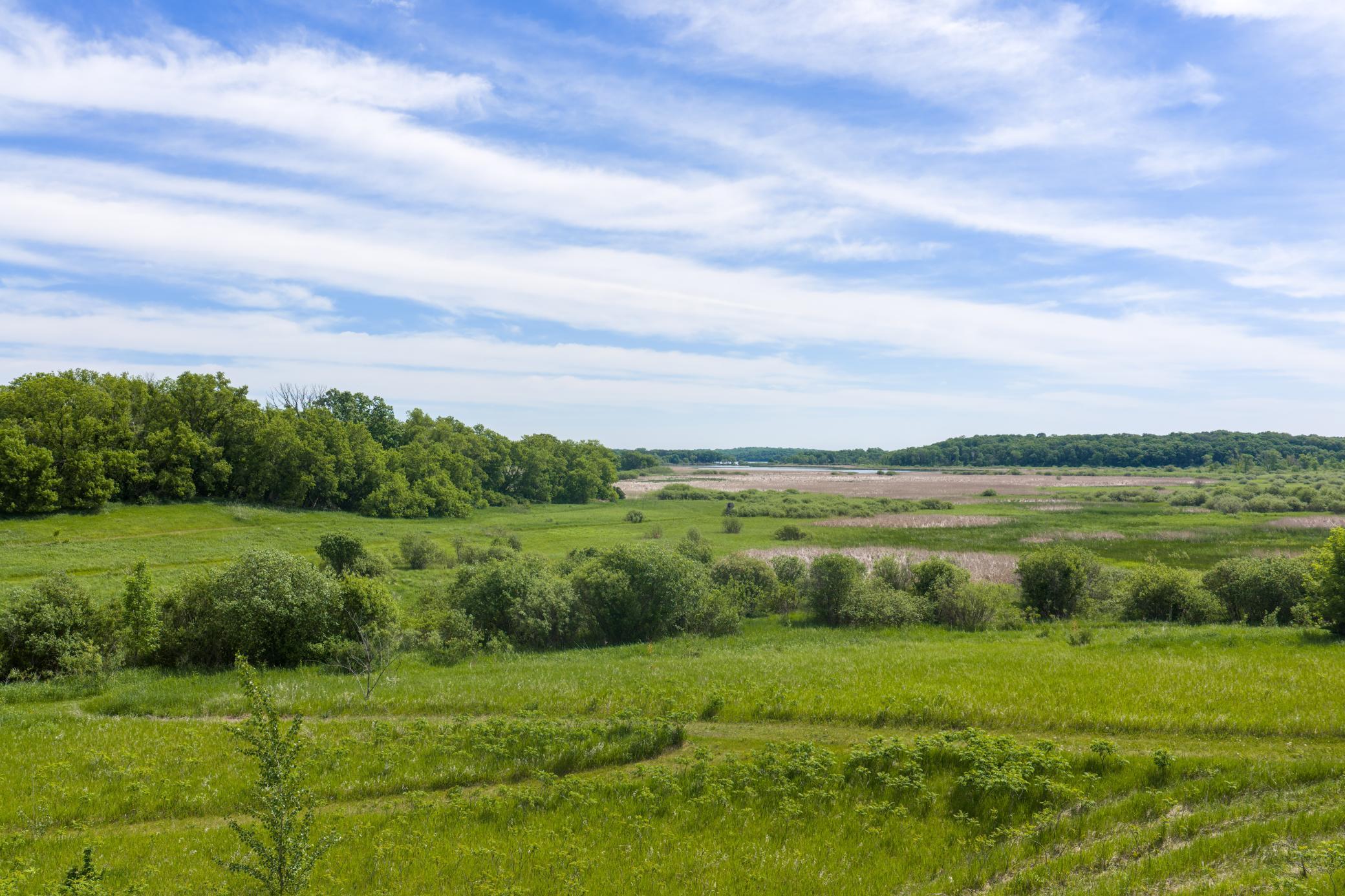 View of Residential at 17168 263rd Avenue, Paynesville MN 56362, Paynesville (34 of 41) - Mike Wilen | Minnesota Team Real Estate