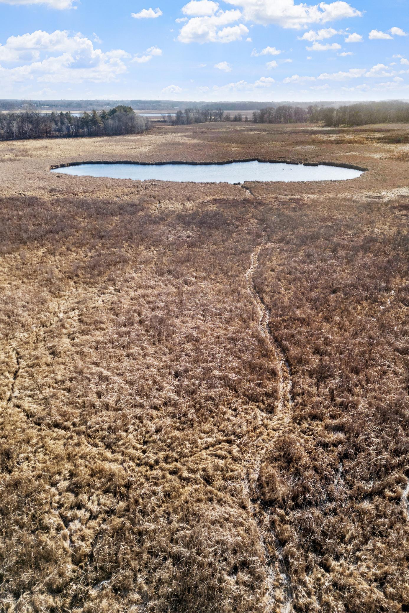 View of Land at 19479 Leyte Street, East Bethel MN 55092, East Bethel (5 of 12) - Mike Wilen | Minnesota Team Real Estate