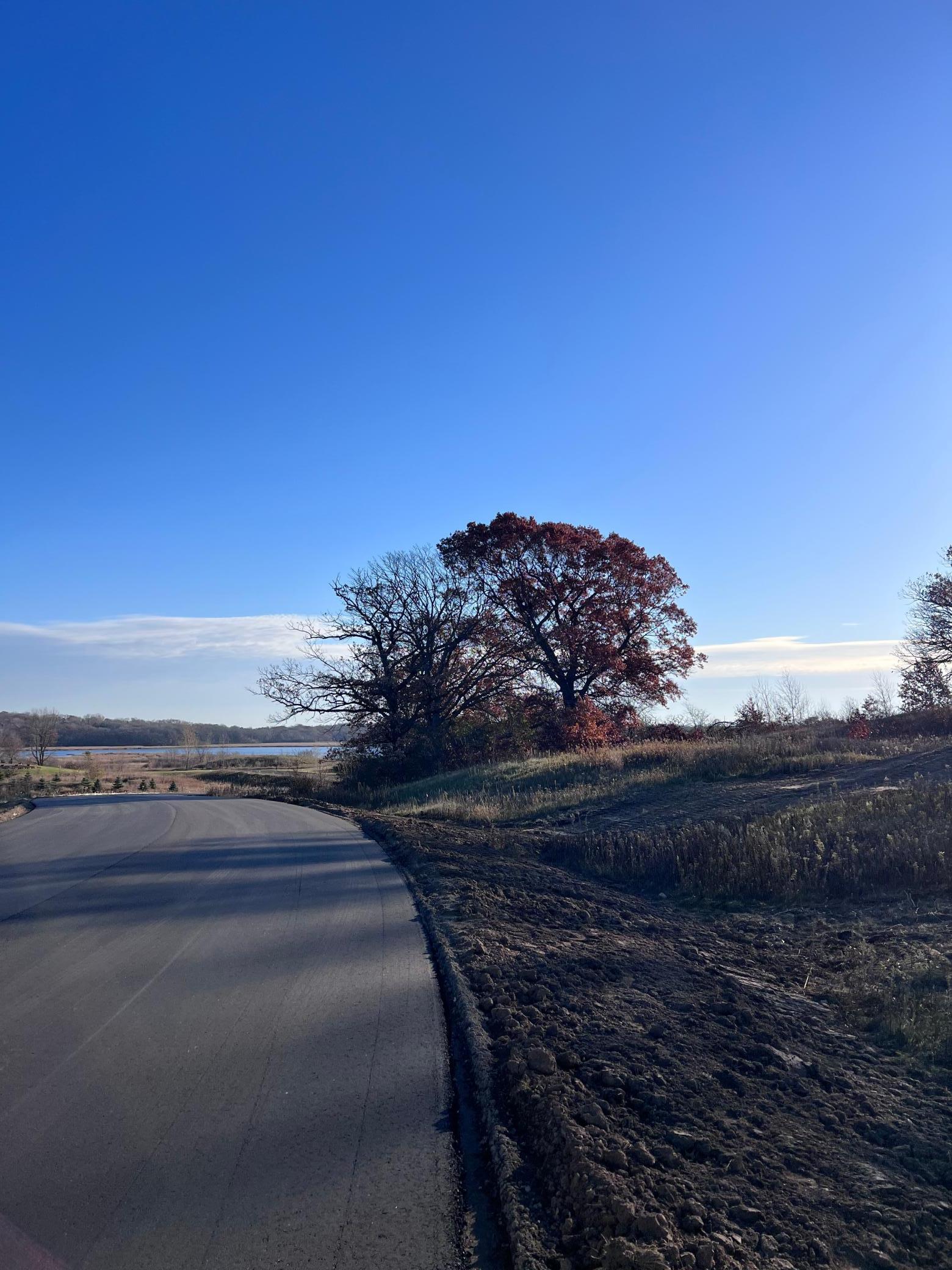 View of Land at 23858 Hall Drive, Lakeville MN 55044, Lakeville (8 of 10) - Mike Wilen | Minnesota Team Real Estate