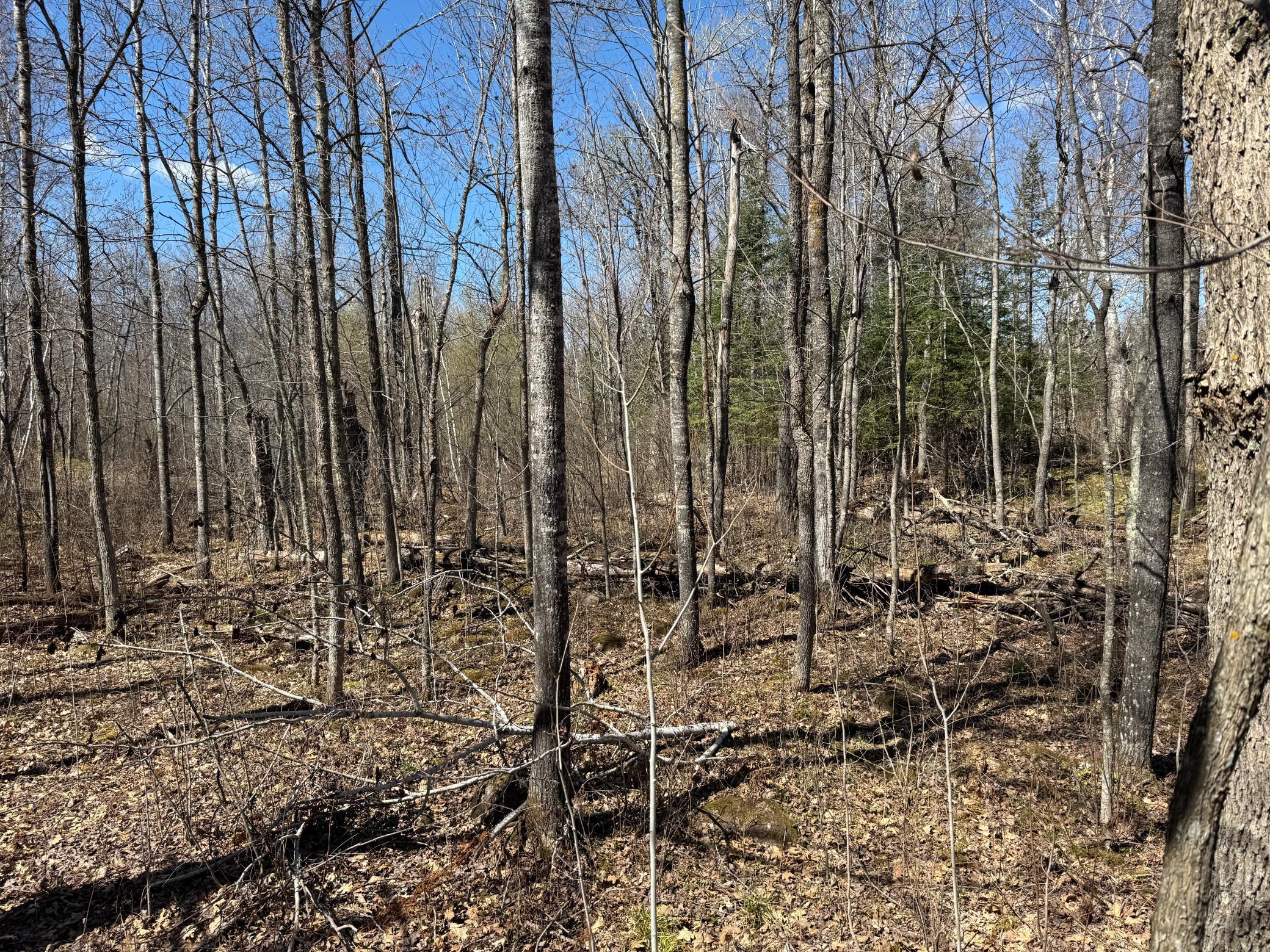 View of Land at Lot 7 Block 1 Yellow Birch Ln, Emily MN 56447, Emily (9 of 12) - Mike Wilen | Minnesota Team Real Estate