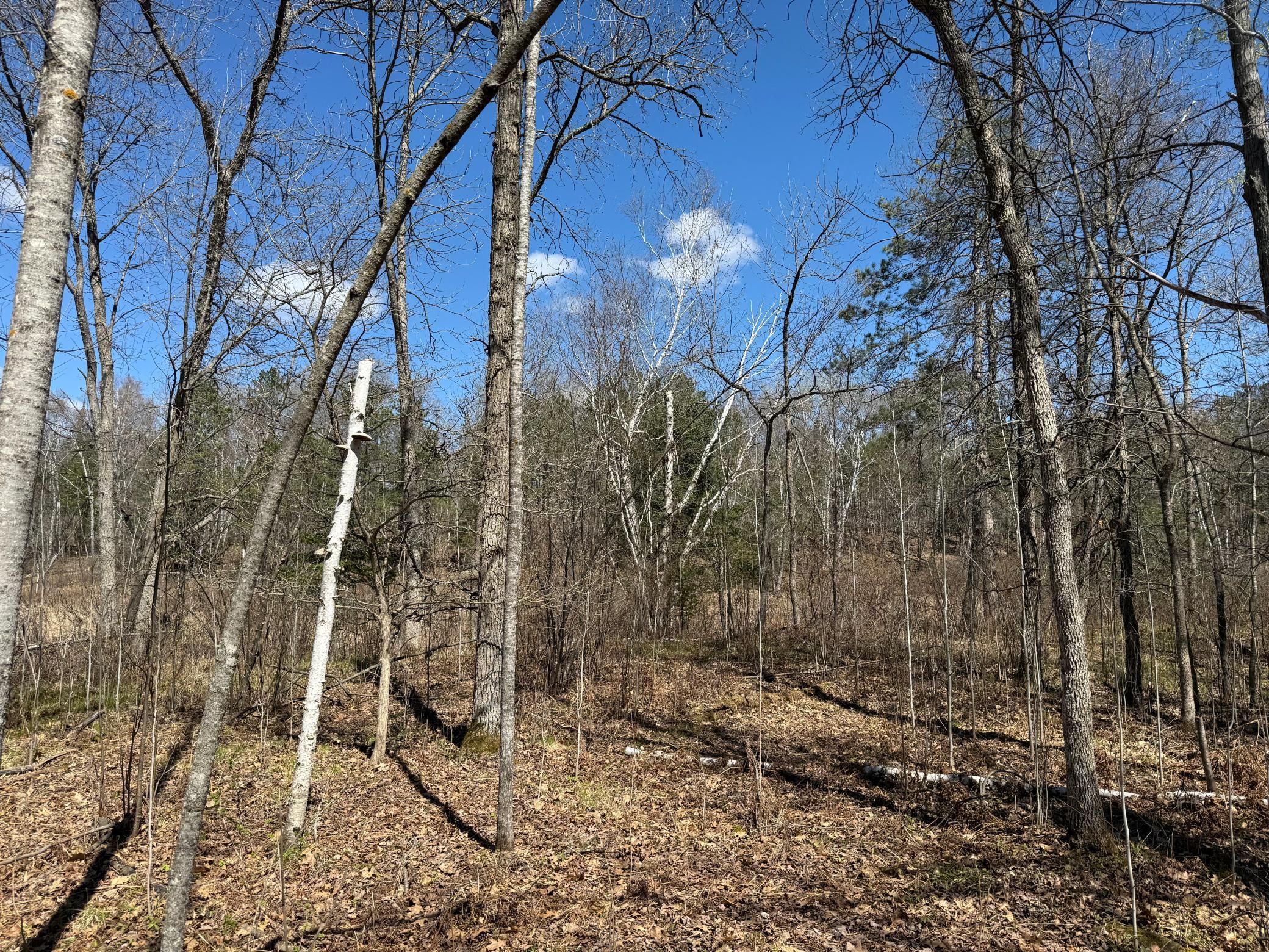 View of Land at Lot 7 Block 1 Yellow Birch Ln, Emily MN 56447, Emily - Mike Wilen | Minnesota Team Real Estate