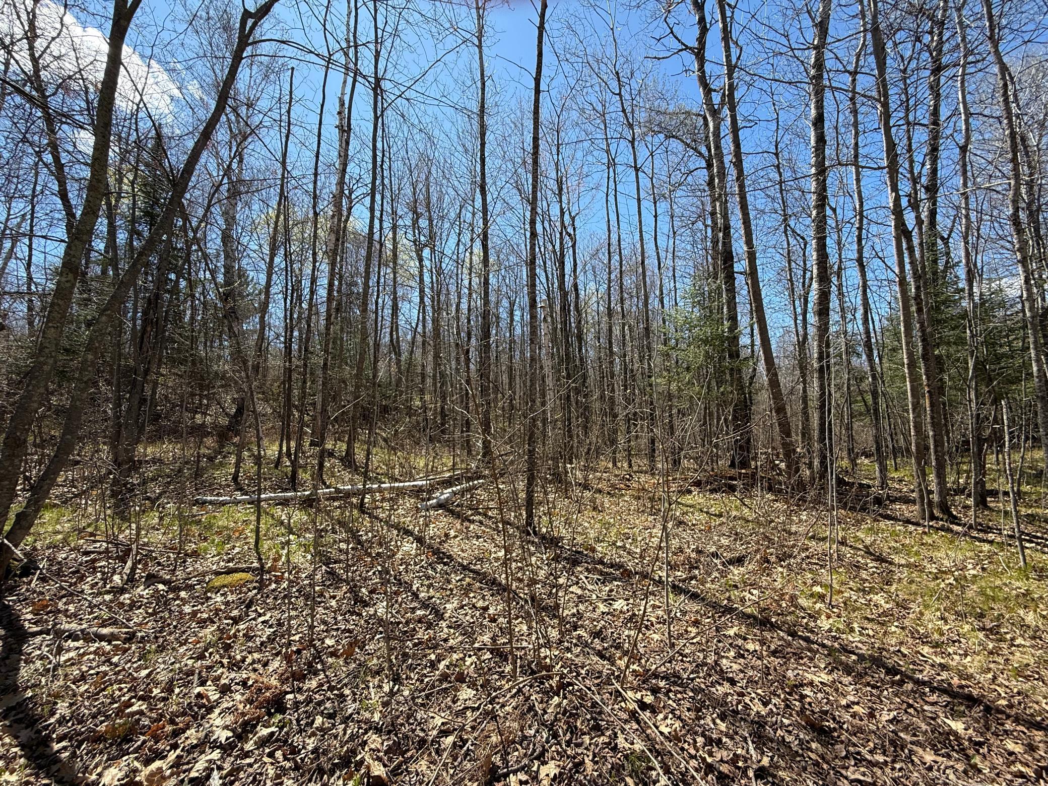 View of Land at Lot 7 Block 1 Yellow Birch Ln, Emily MN 56447, Emily (10 of 12) - Mike Wilen | Minnesota Team Real Estate