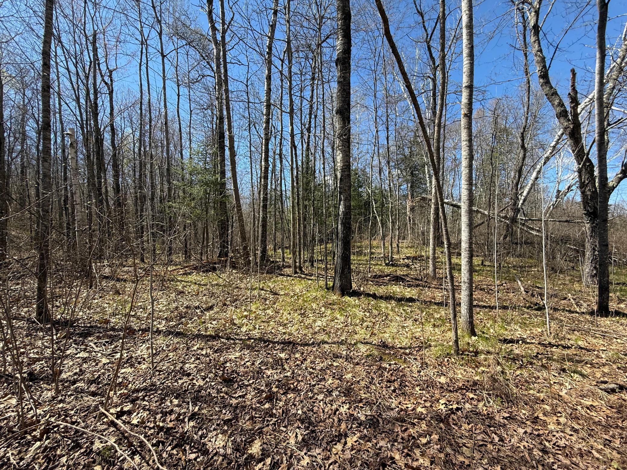 View of Land at Lot 7 Block 1 Yellow Birch Ln, Emily MN 56447, Emily (8 of 12) - Mike Wilen | Minnesota Team Real Estate