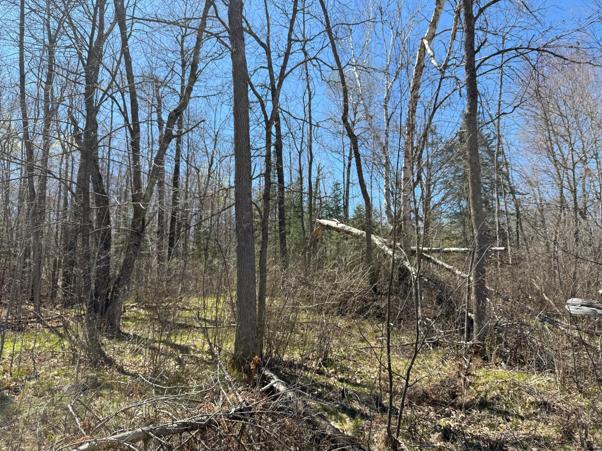 View of Land at Lot 7 Block 1 Yellow Birch Ln, Emily MN 56447, Emily (6 of 12) - Mike Wilen | Minnesota Team Real Estate
