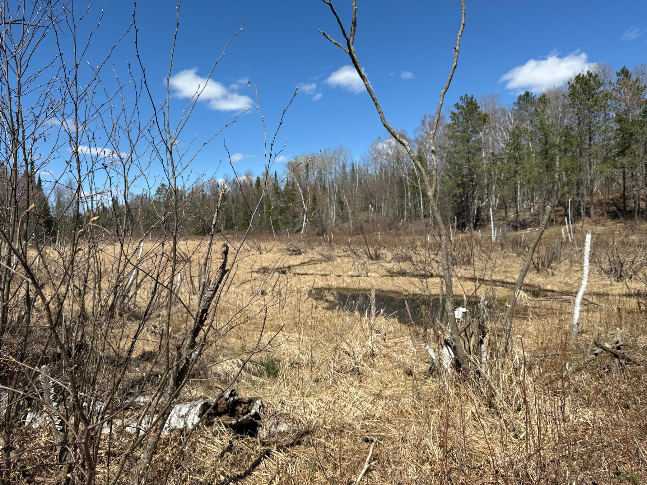 View of Land at Lot 7 Block 1 Yellow Birch Ln, Emily MN 56447, Emily (4 of 12) - Mike Wilen | Minnesota Team Real Estate
