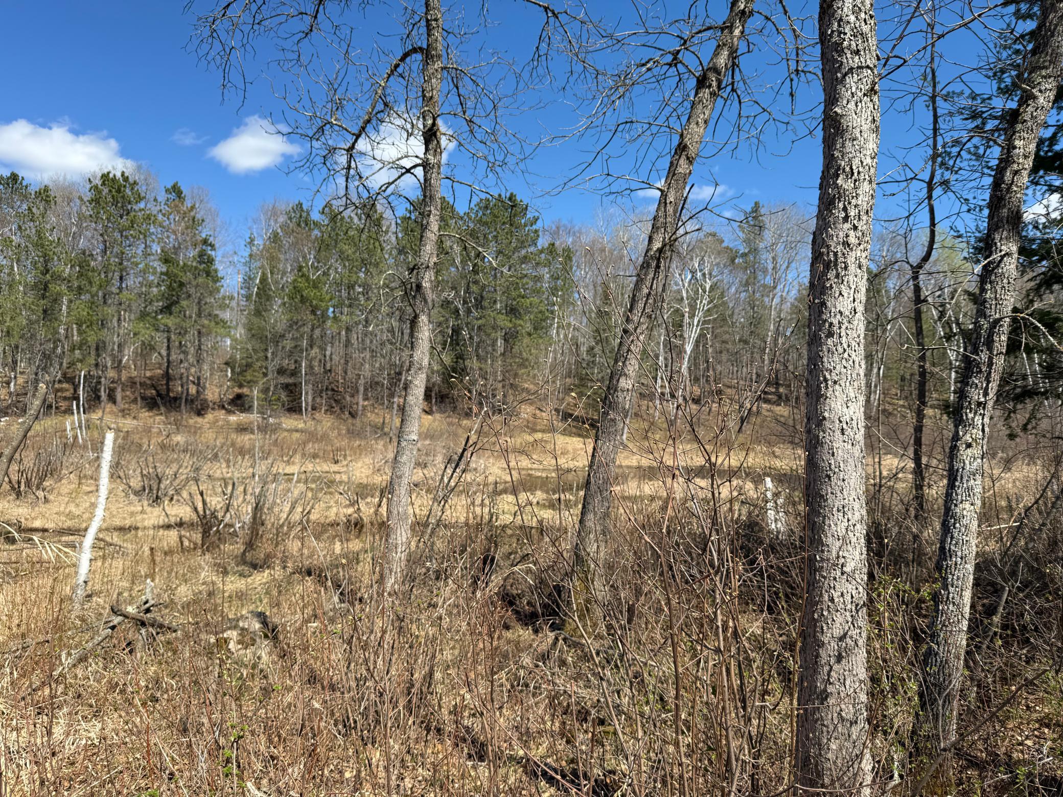 View of Land at Lot 7 Block 1 Yellow Birch Ln, Emily MN 56447, Emily (5 of 12) - Mike Wilen | Minnesota Team Real Estate