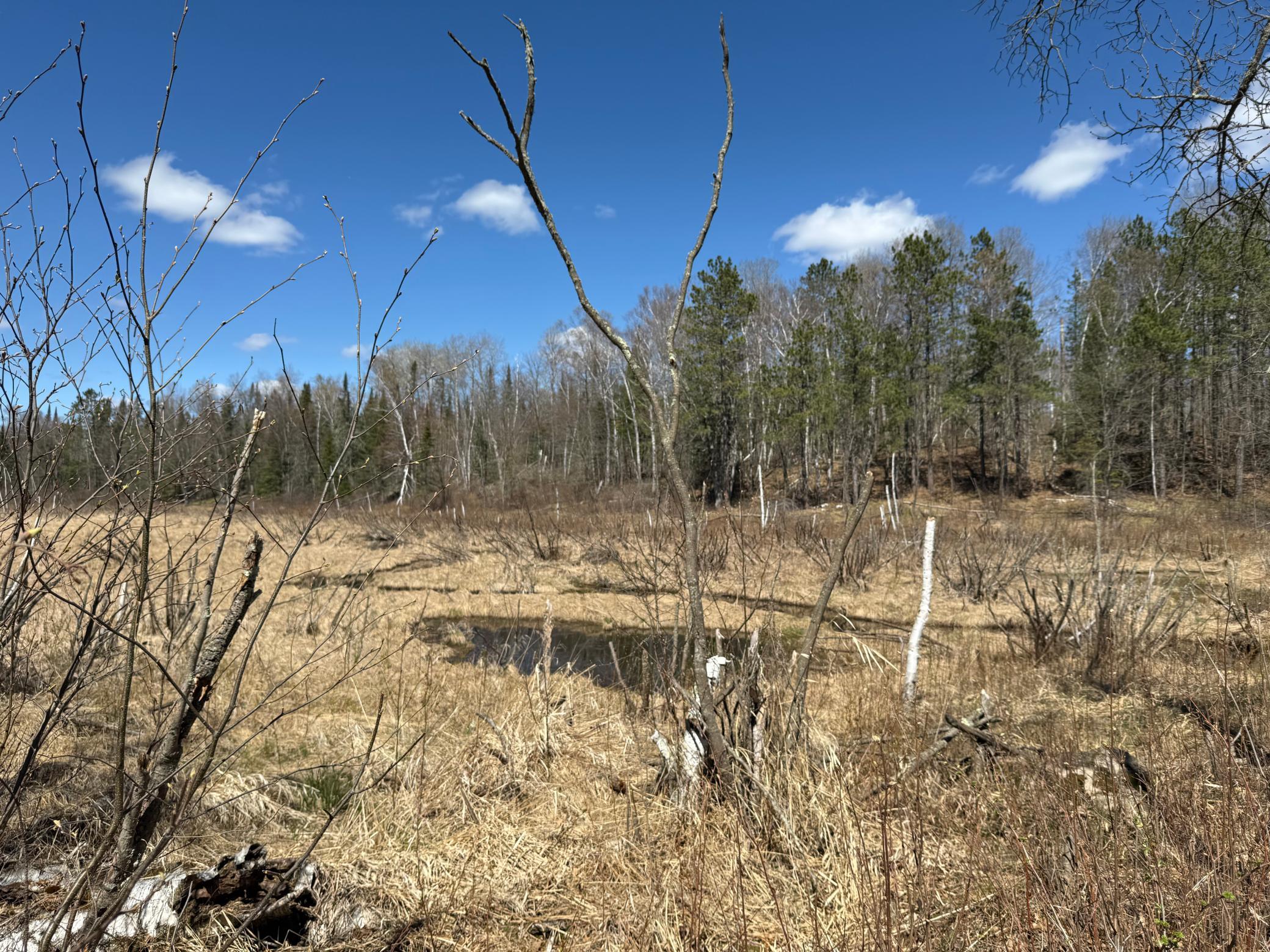 View of Land at Lot 7 Block 1 Yellow Birch Ln, Emily MN 56447, Emily (3 of 12) - Mike Wilen | Minnesota Team Real Estate