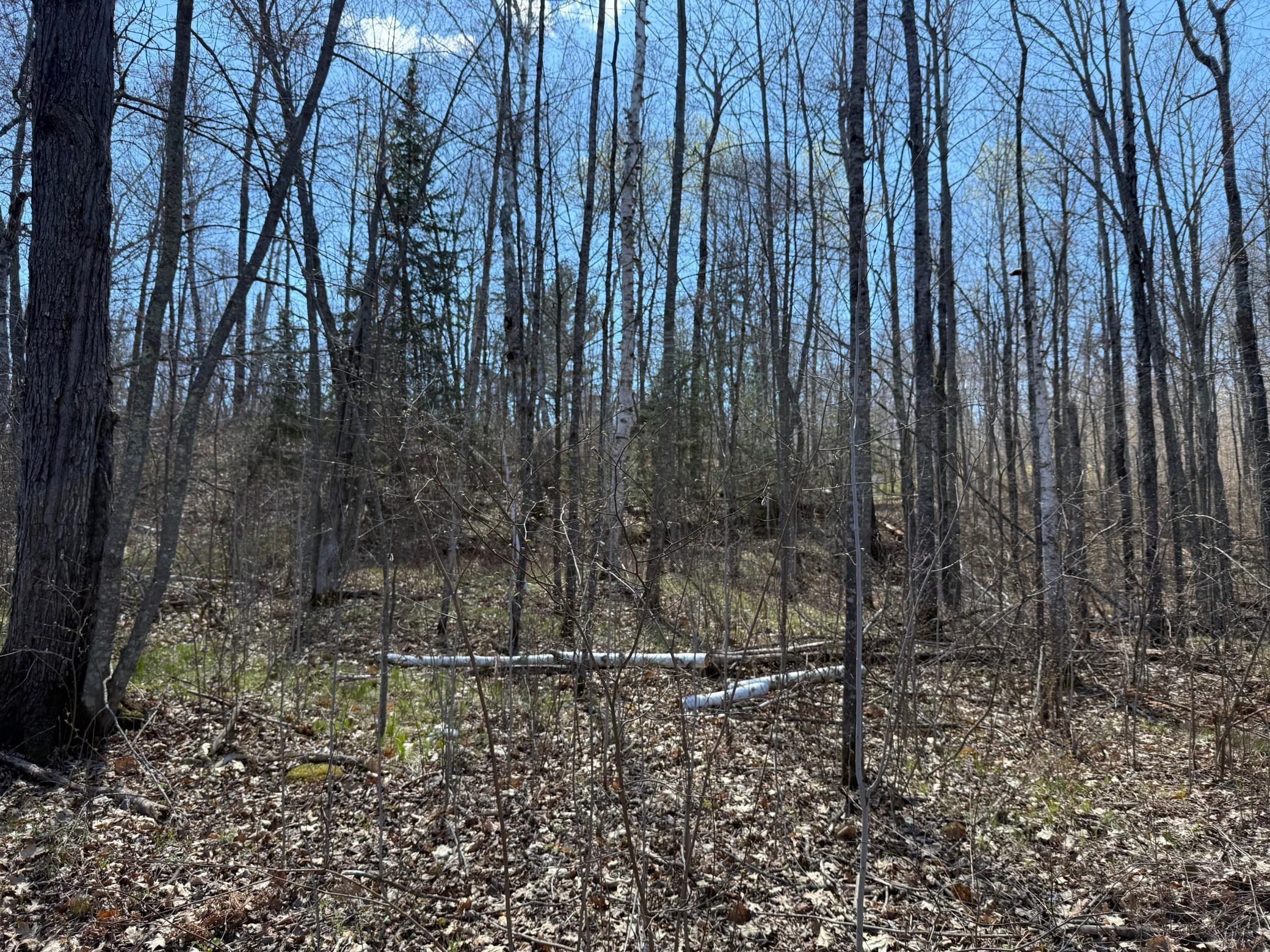 View of Land at Lot 7 Block 1 Yellow Birch Ln, Emily MN 56447, Emily (11 of 12) - Mike Wilen | Minnesota Team Real Estate