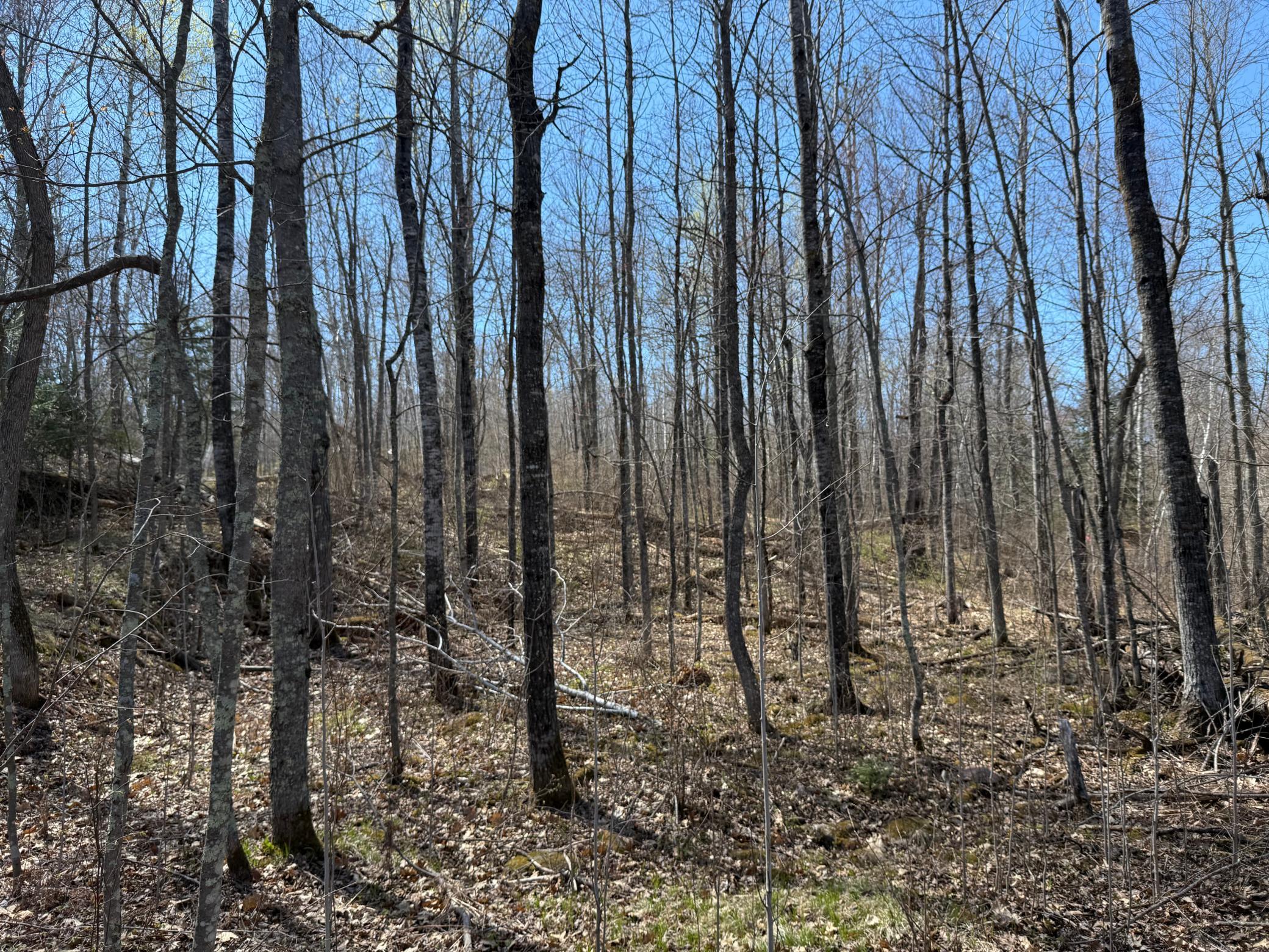 View of Land at Lot 7 Block 1 Yellow Birch Ln, Emily MN 56447, Emily (7 of 12) - Mike Wilen | Minnesota Team Real Estate