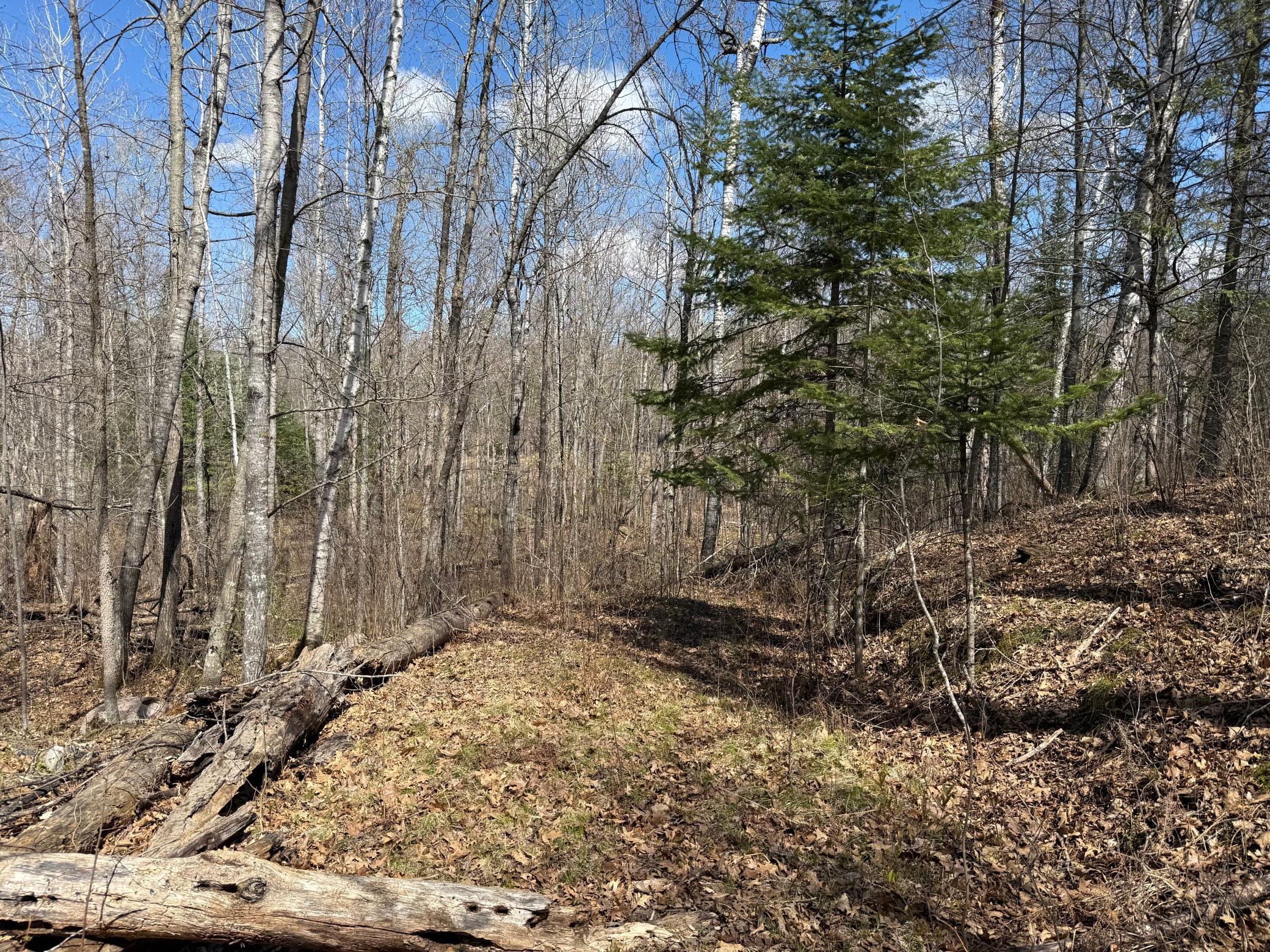View of Land at Lot 7 Block 1 Yellow Birch Ln, Emily MN 56447, Emily (2 of 12) - Mike Wilen | Minnesota Team Real Estate