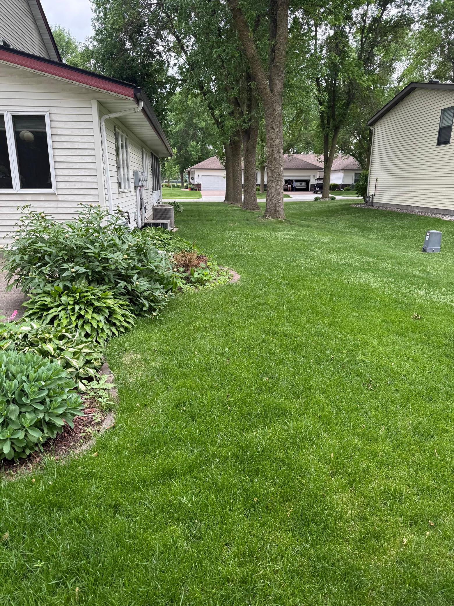 View of Residential at 715 1st Street, New Prague MN 56071, New Prague (4 of 26) - Mike Wilen | Minnesota Team Real Estate