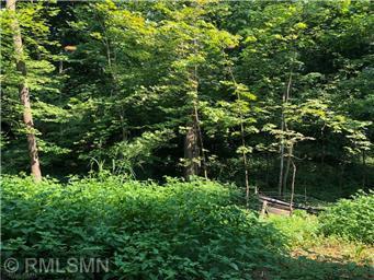 View of Land at 16510 Lake Street Extension, Minnetonka MN 55345, Minnetonka - Mike Wilen | Minnesota Team Real Estate