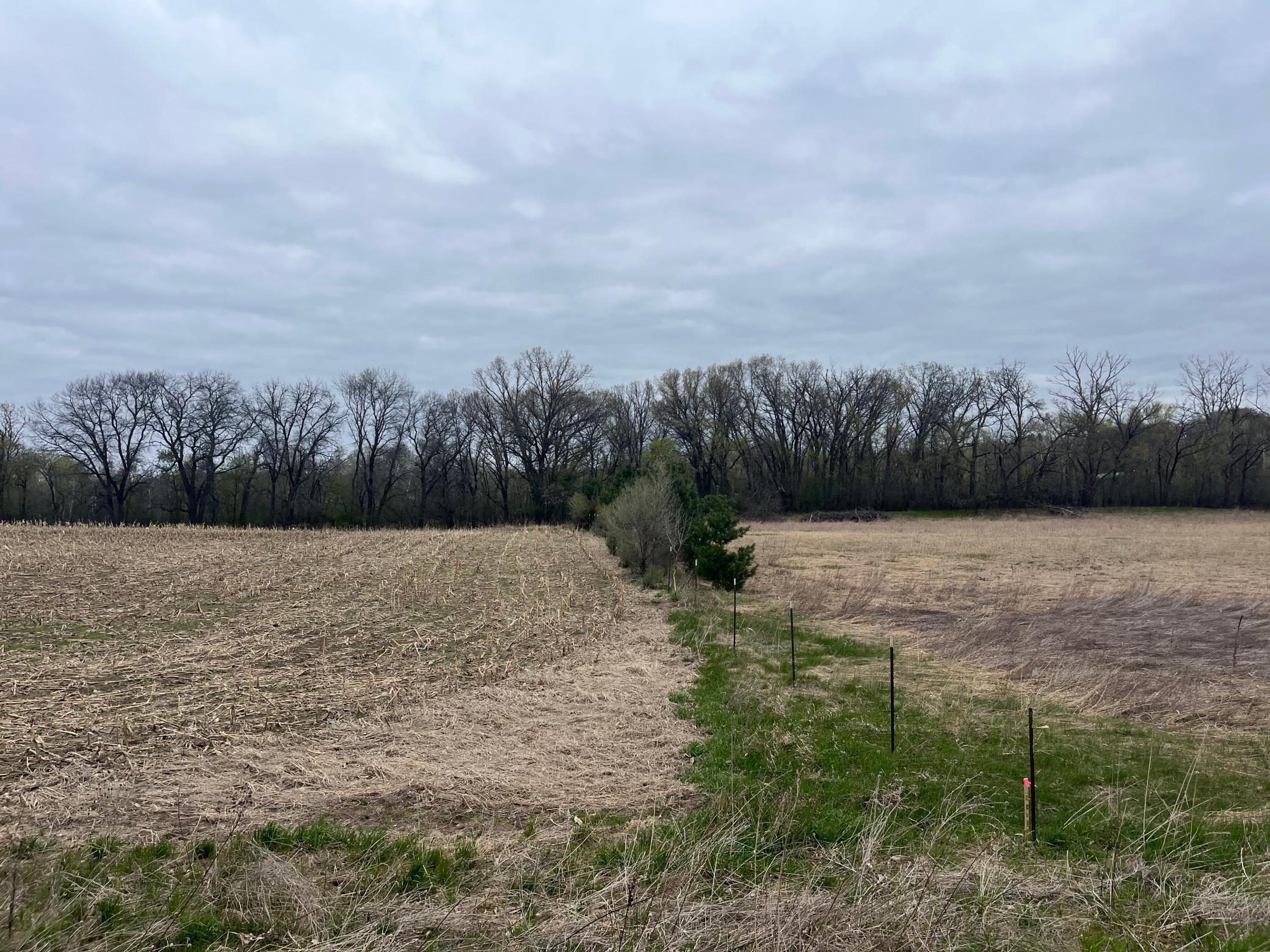 View of Land at TBD County Road 5, Bradford Twp MN 55040, Bradford Twp - Mike Wilen | Minnesota Team Real Estate