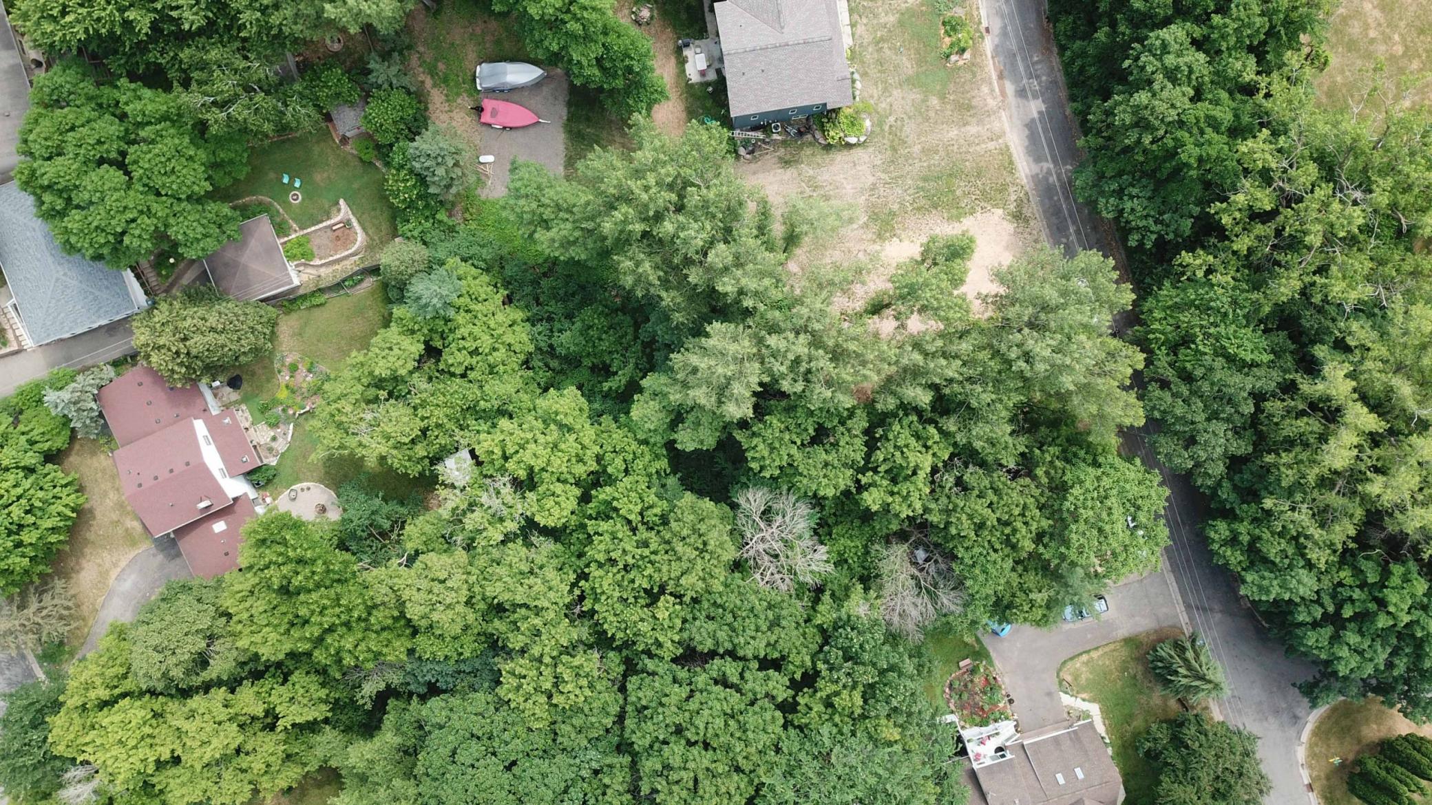 View of Land at 2113 Oakridge Street, Saint Paul MN 55119, Saint Paul (6 of 12) - Mike Wilen | Minnesota Team Real Estate