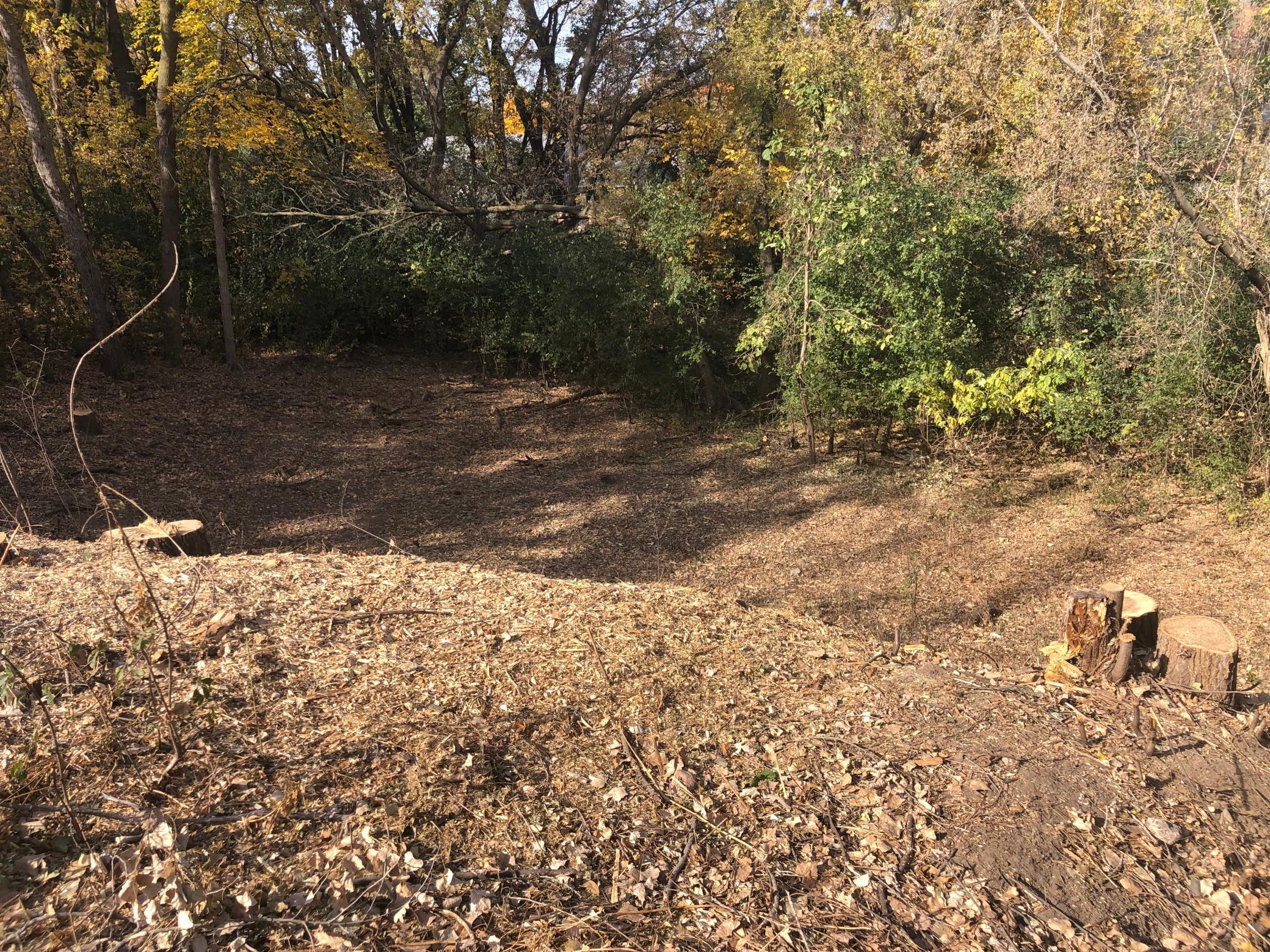 View of Land at 2113 Oakridge Street, Saint Paul MN 55119, Saint Paul (10 of 12) - Mike Wilen | Minnesota Team Real Estate