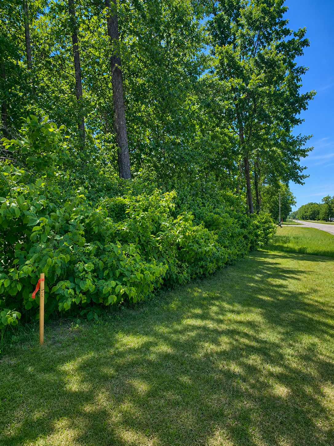 View of Land at TBD Clearwater Road, Baxter MN 56425, Baxter (4 of 6) - Mike Wilen | Minnesota Team Real Estate